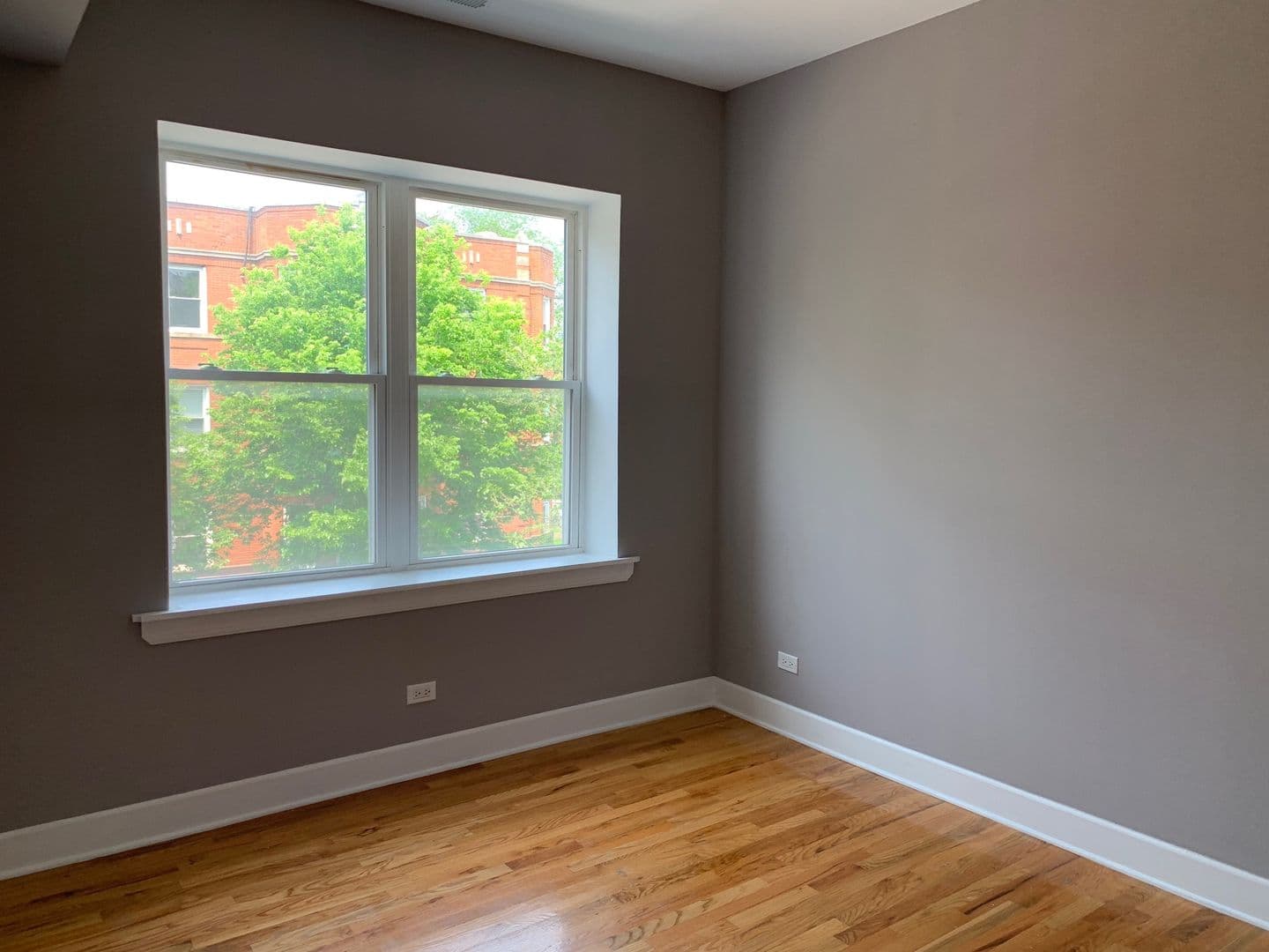Chicago Apartment: 6154 N Oakley Ave