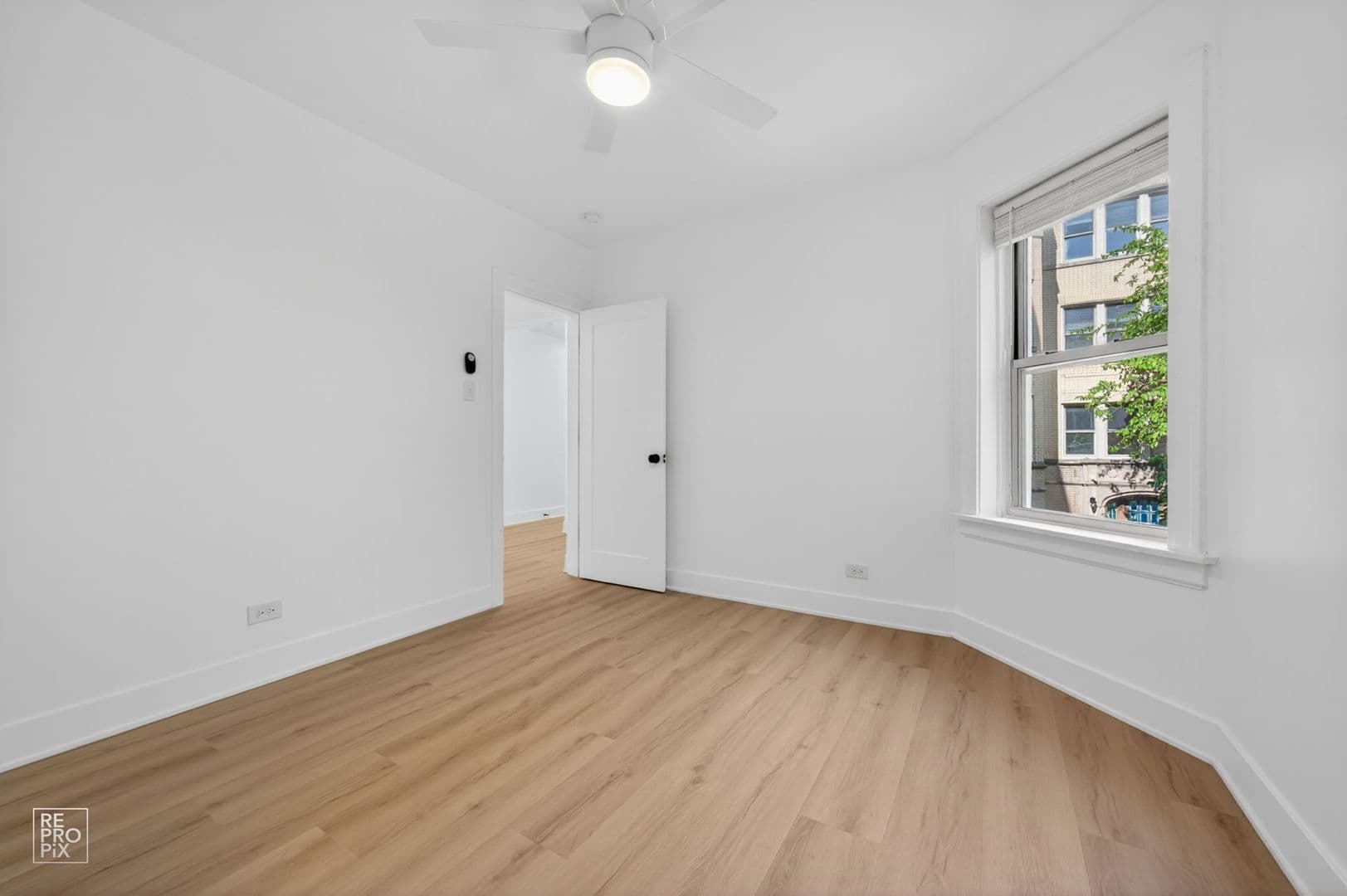 Chicago Apartment: 6310 N Artesian