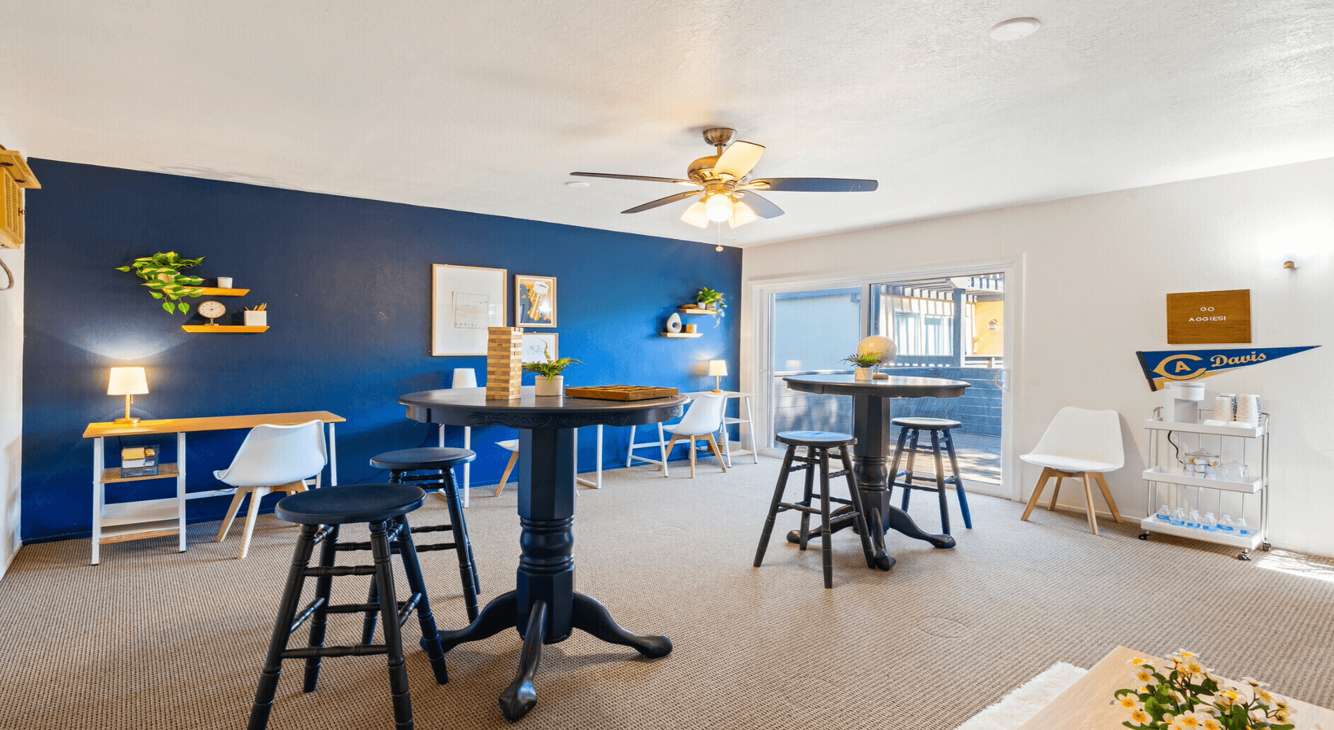 Davis Apartment: 607 E. 8th Street