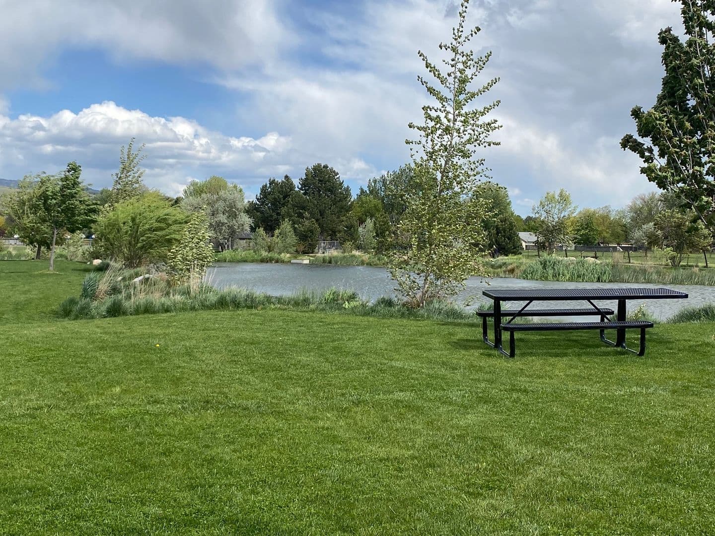 Garden City Townhome: 7344 N Lucy Rose Ln