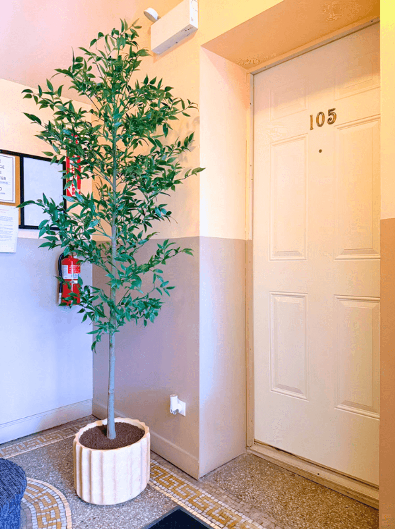 Chicago Apartment: Indiana Ave 4852-58 118-124