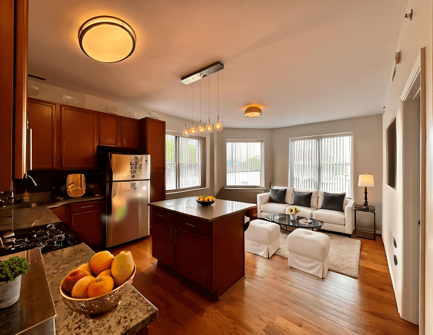 Chicago Apartment: 405 E Oakwood Blvd