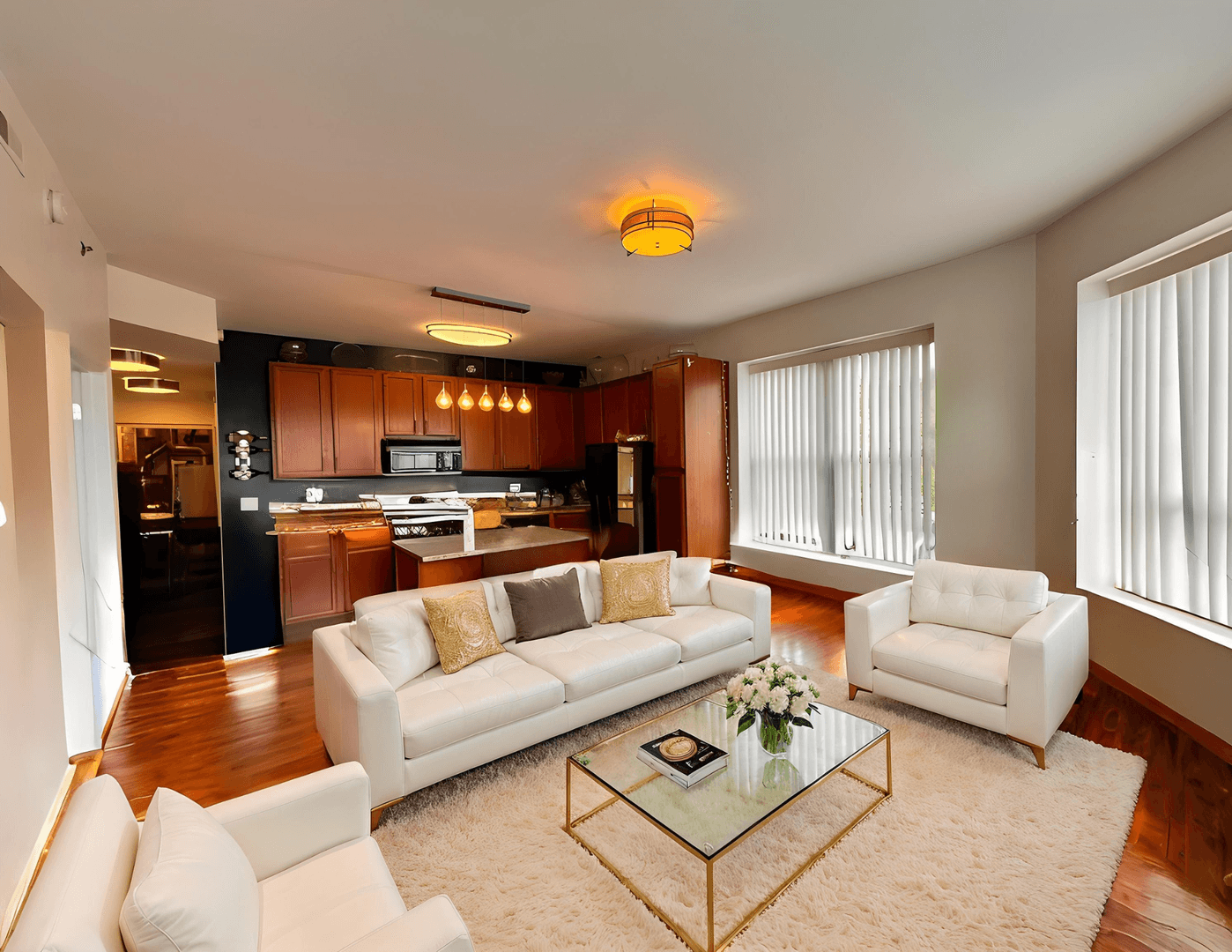 Chicago Apartment: 405 E Oakwood Blvd