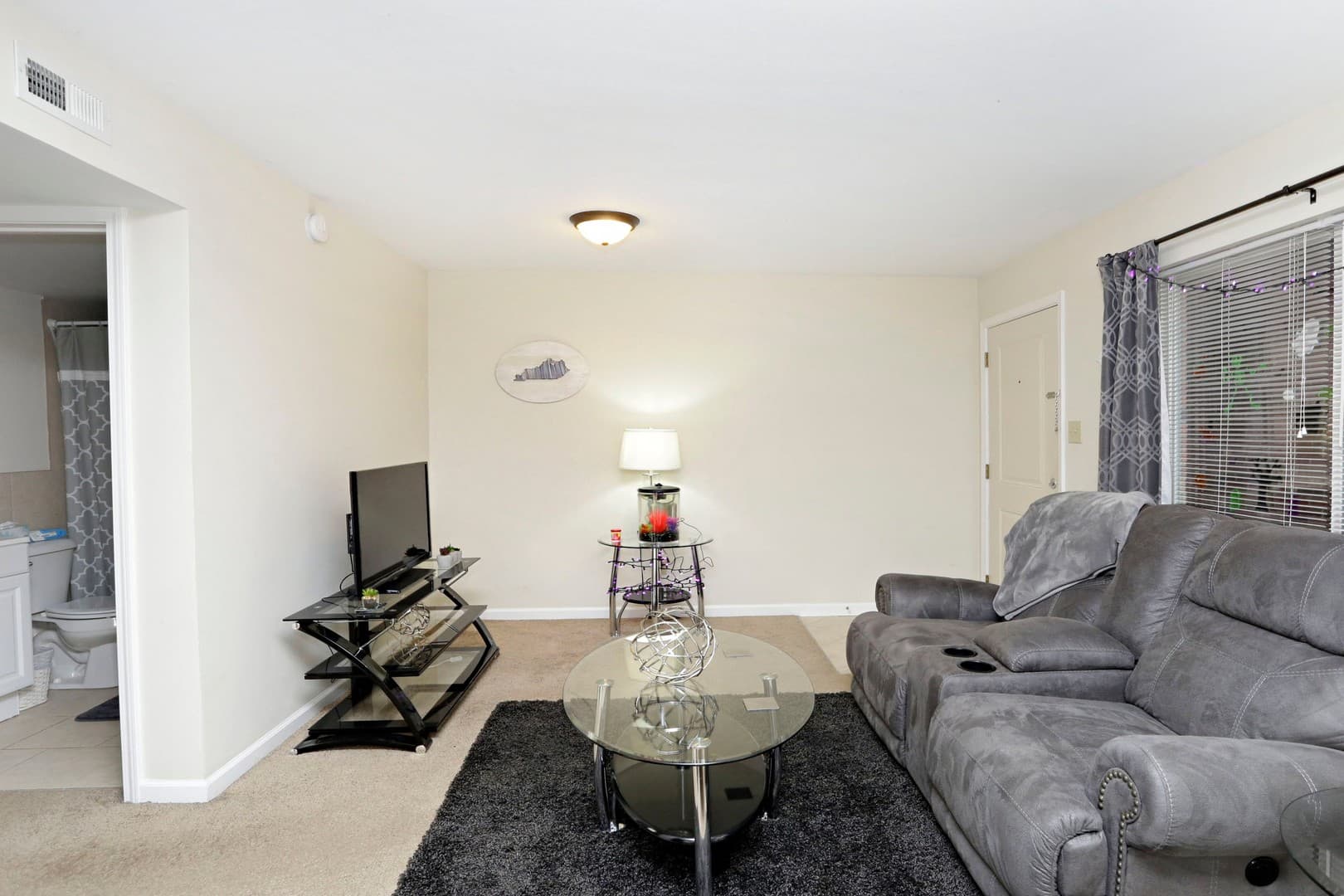 Lexington Apartment: 165 Virginia Avenue
