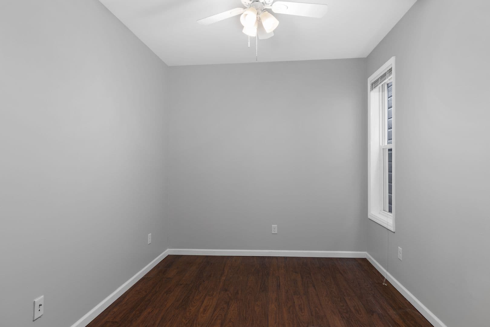 Albany Apartment: 65 Dana Ave.