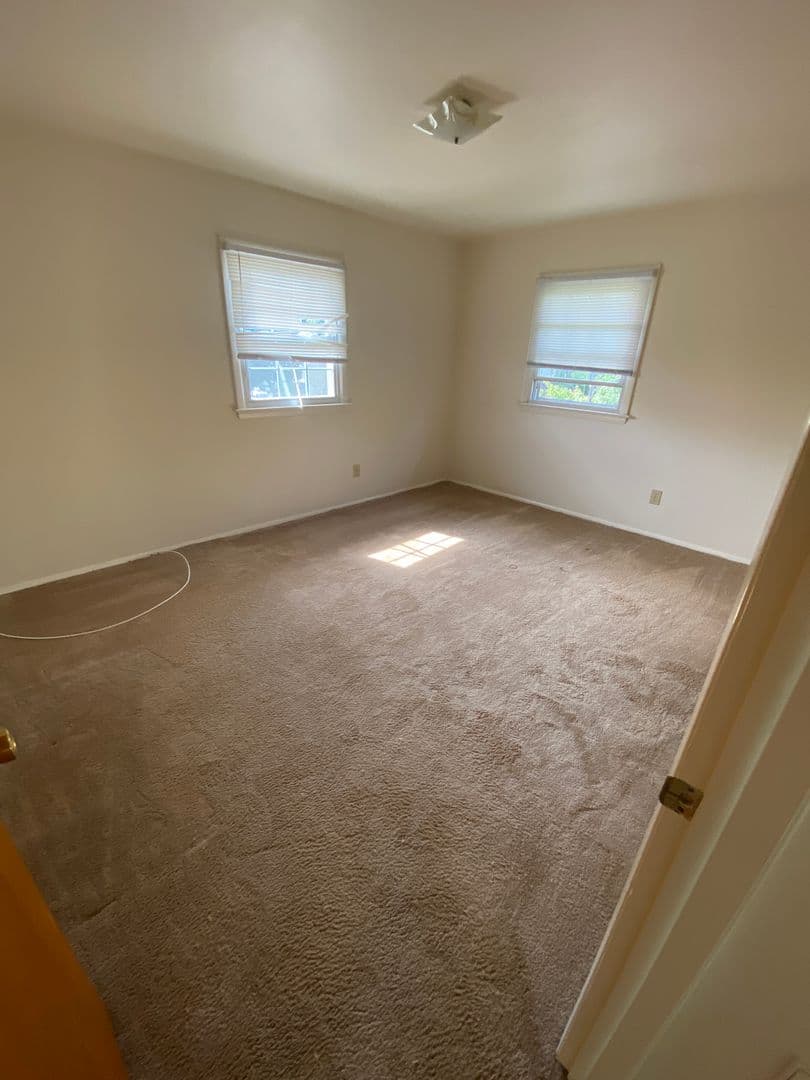 Delmar Apartment: 96 Elsmere