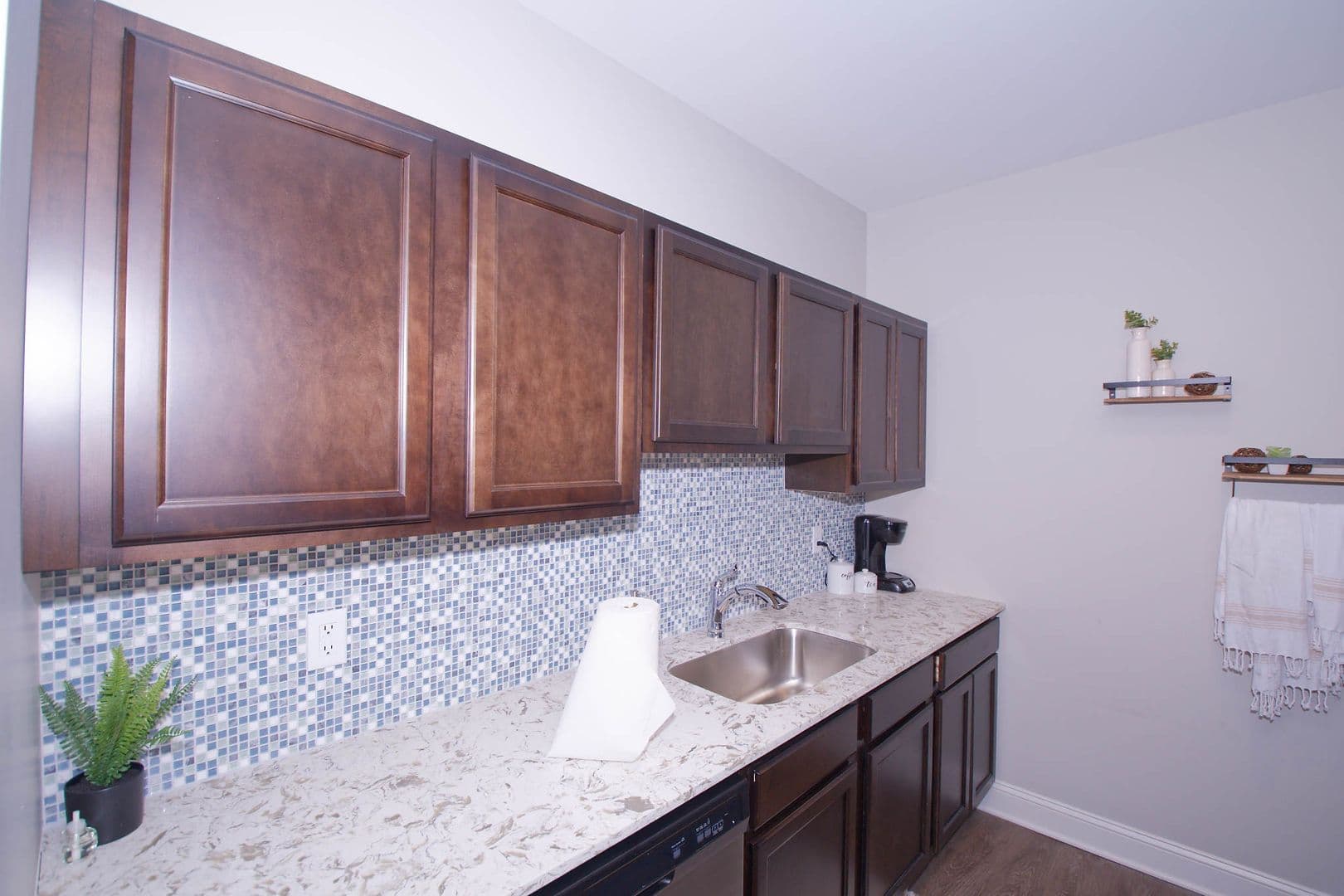Albany Apartment: 86 Dana Avenue