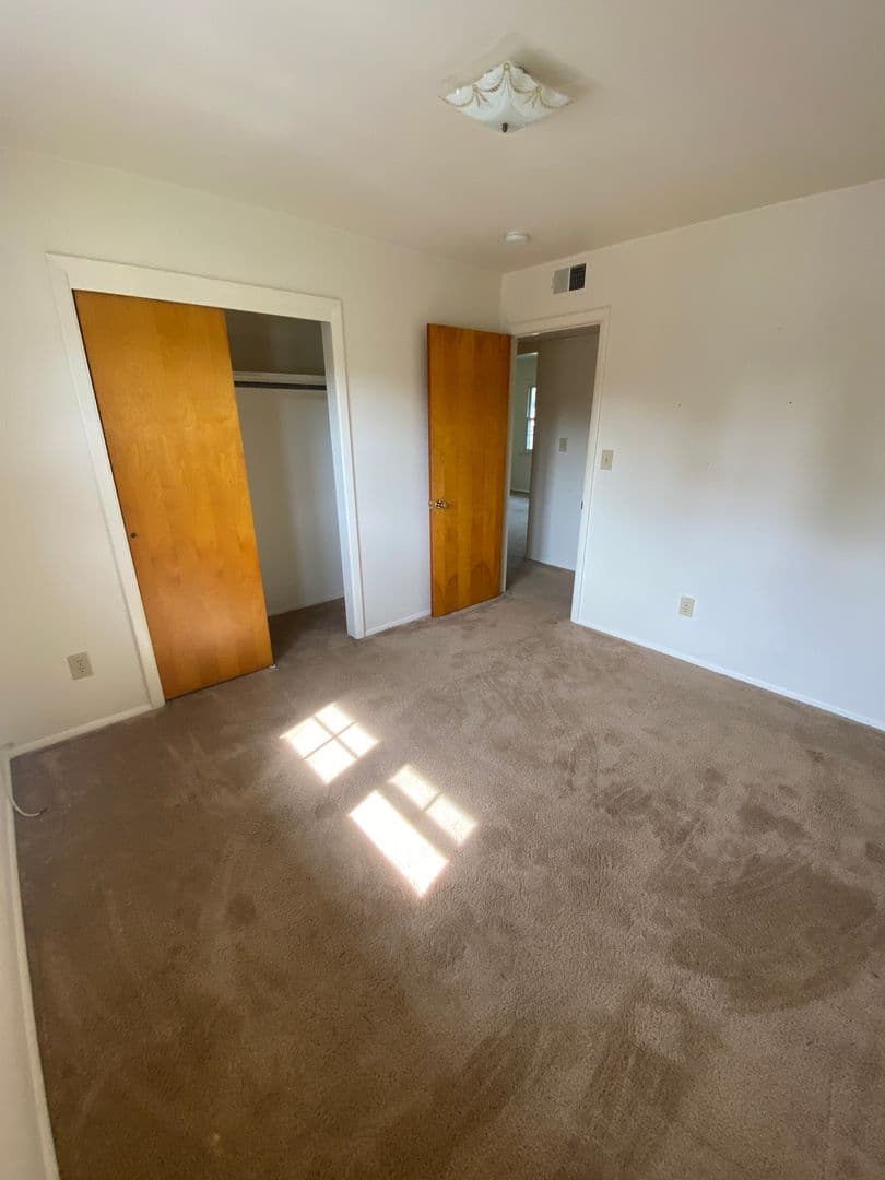 Delmar Apartment: 96 Elsmere
