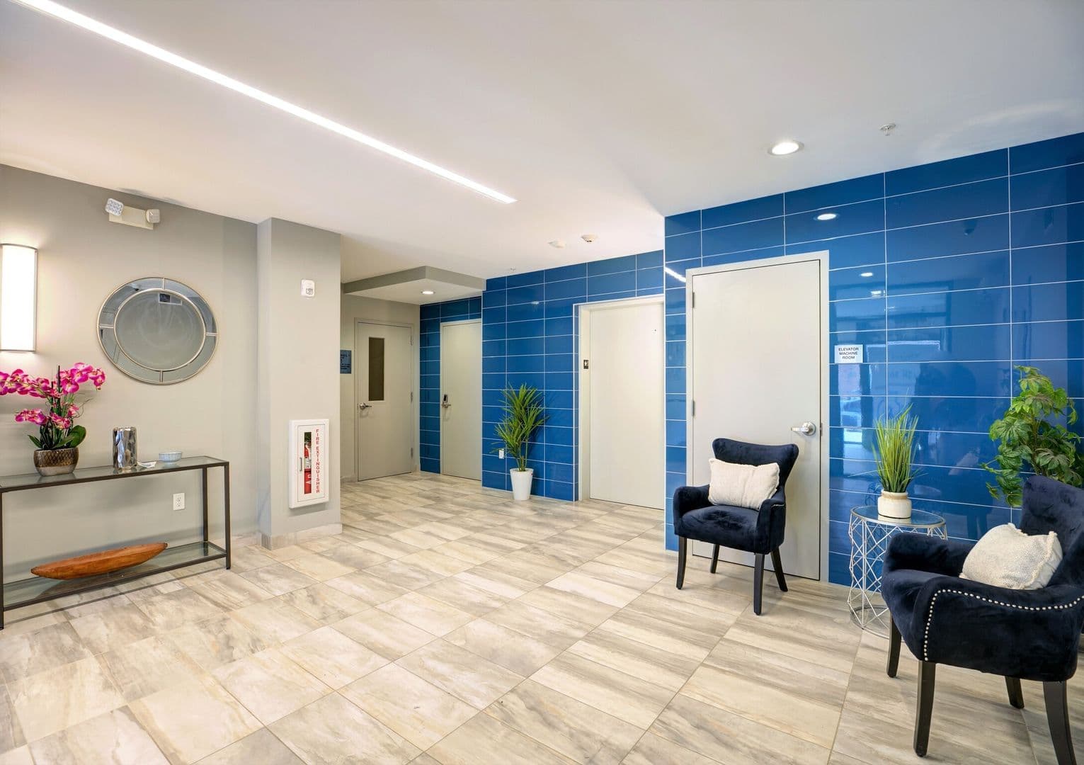 Albany Apartment: 86 Dana Avenue