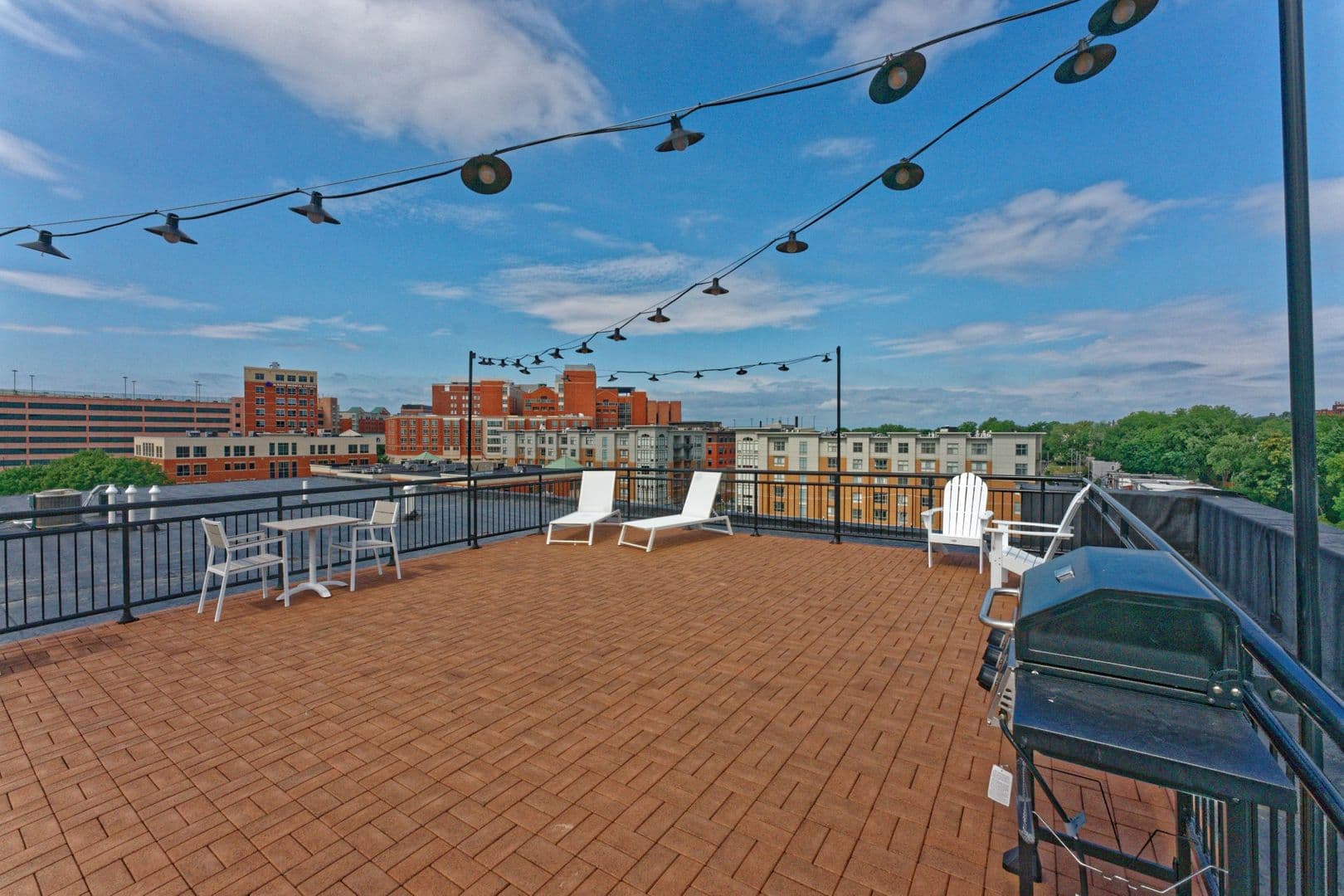 Albany Apartment: 86 Dana Avenue
