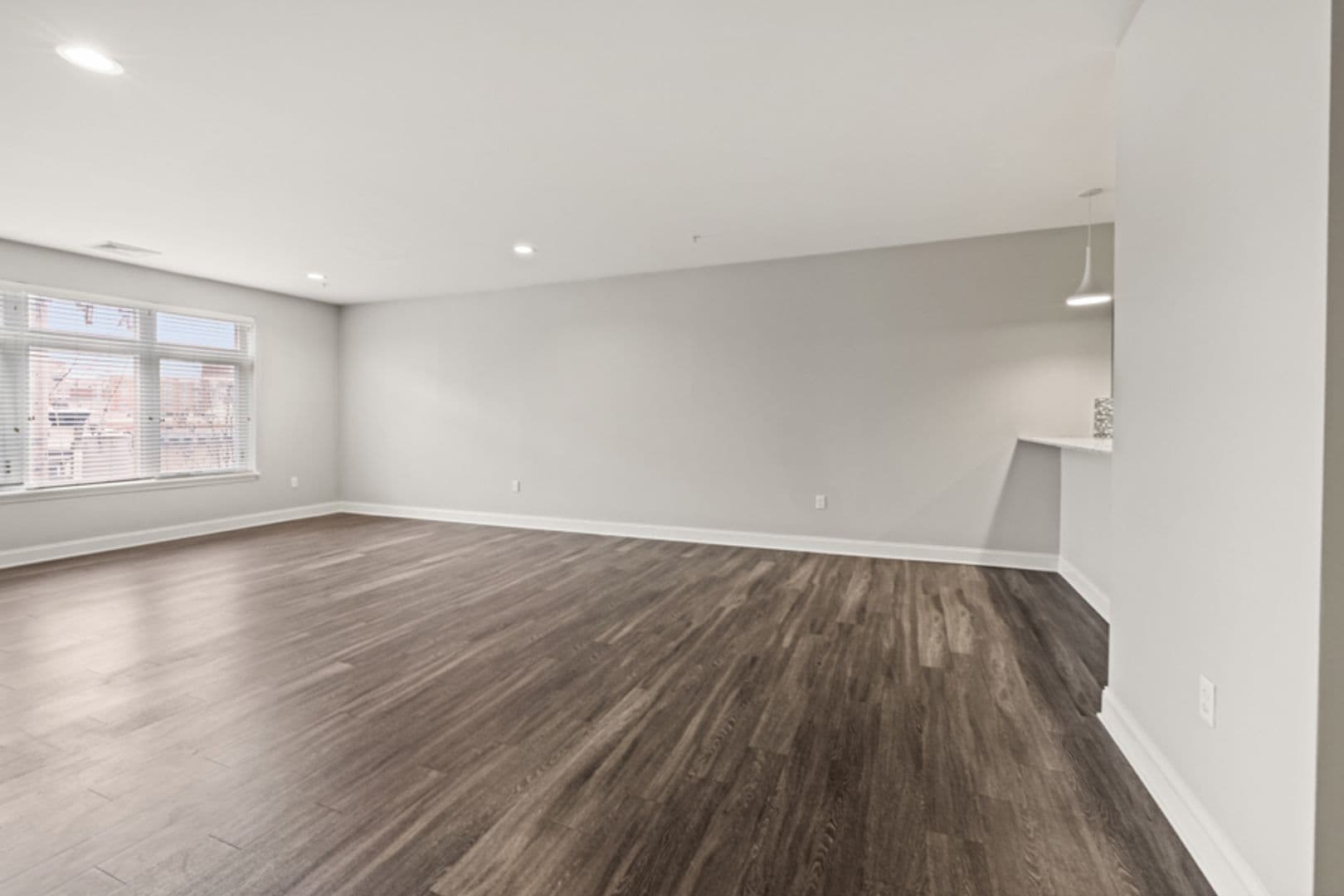 Albany Apartment: 85 Dana Ave