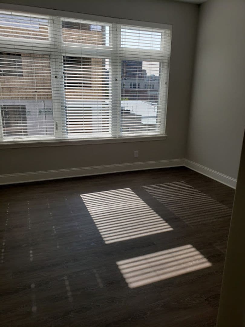 Albany Apartment: 86 Dana Avenue