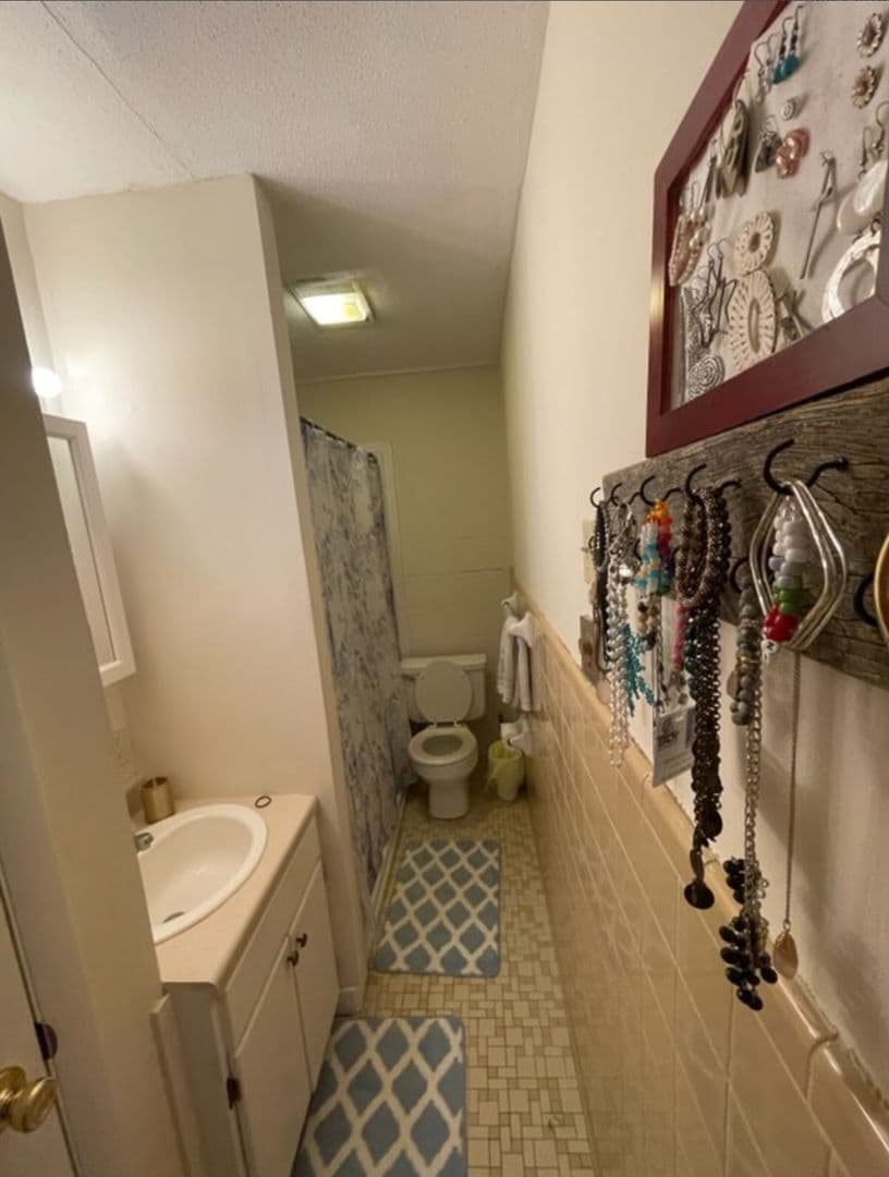 Troy Apartment: 106 Camellia St