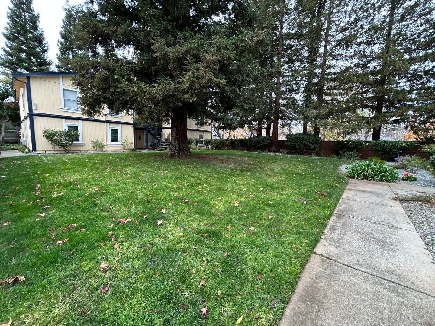 Concord Condo: 1520 Schenone Ct #10