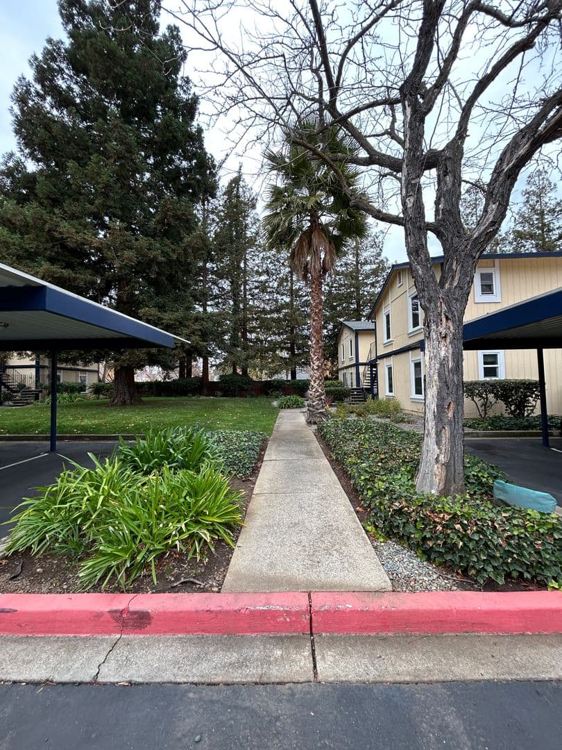Concord Condo: 1520 Schenone Ct #10