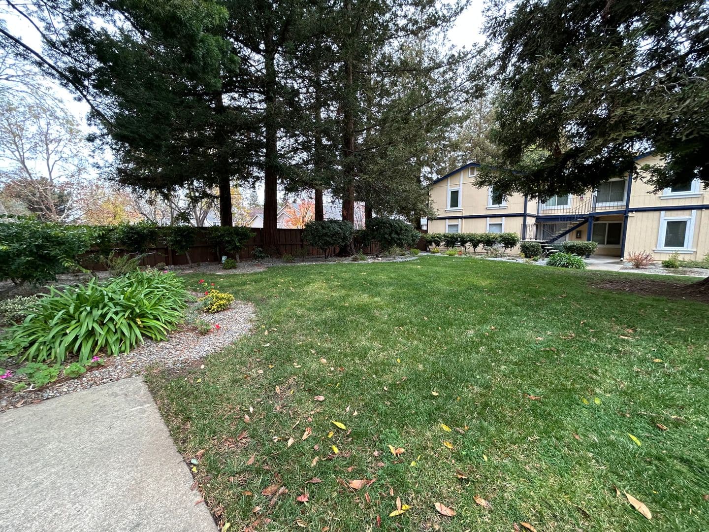 Concord Condo: 1520 Schenone Ct #10