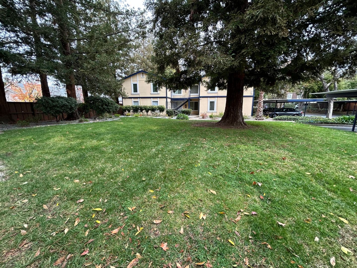 Concord Condo: 1520 Schenone Ct #10