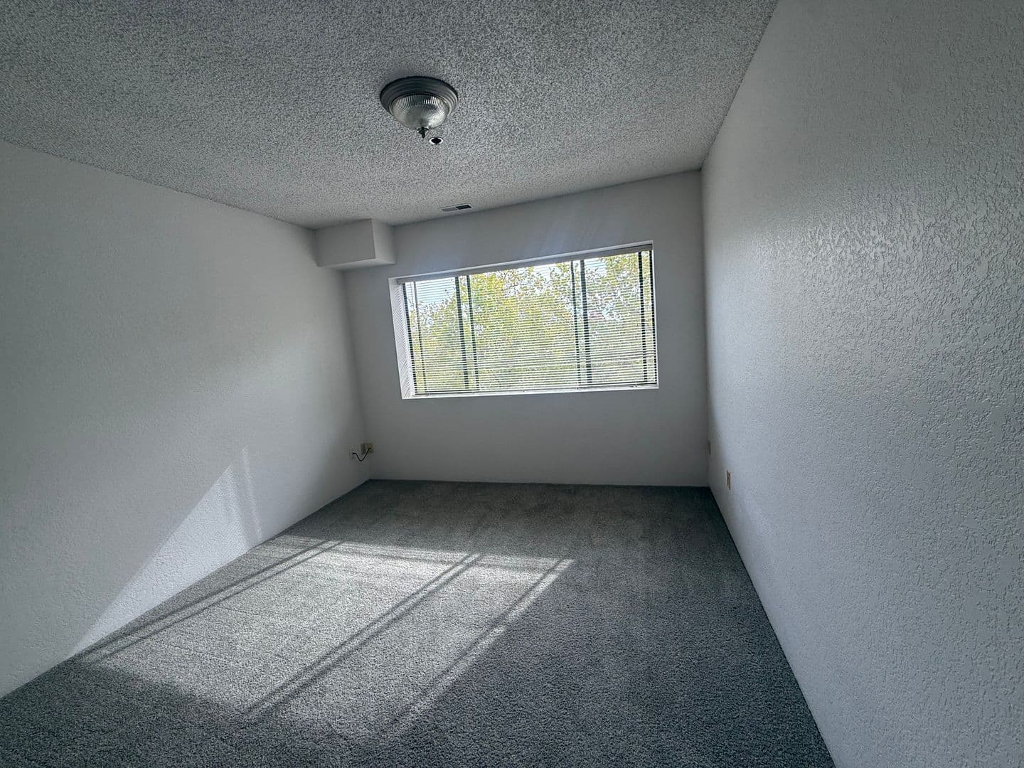 Corvallis Apartment: 124 NW 7th St