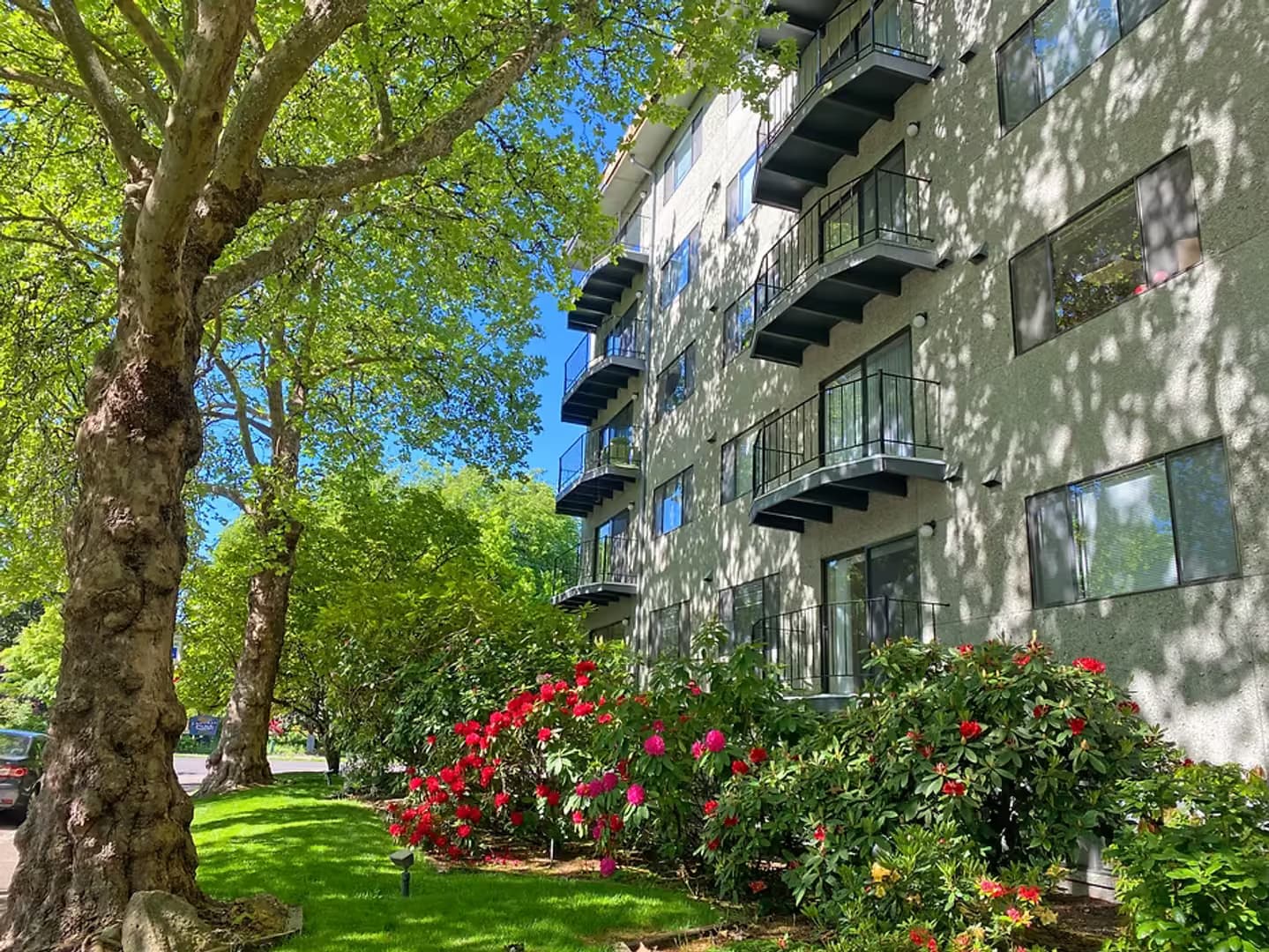 Corvallis Apartment: 124 NW 7th St