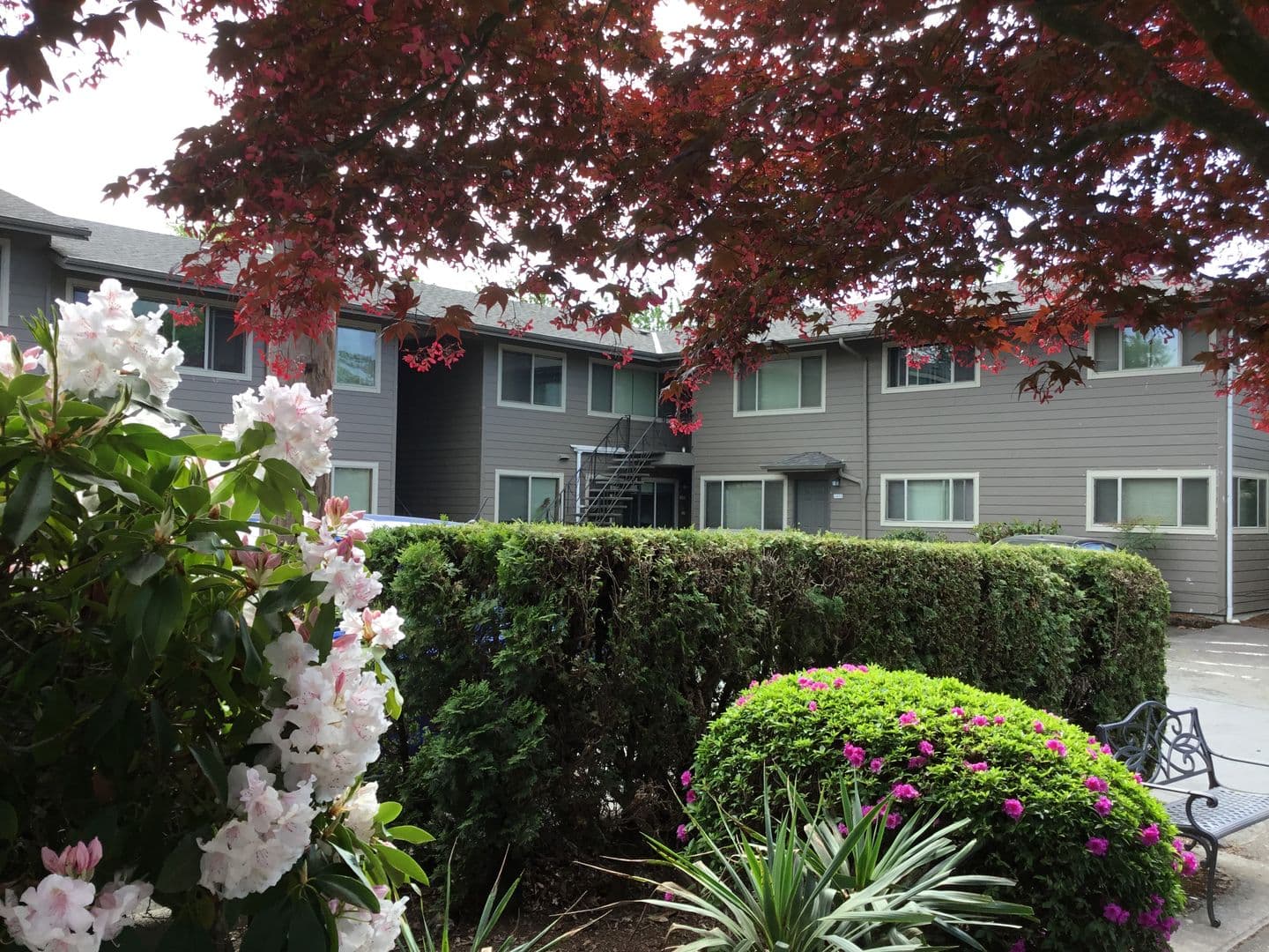 Portland Apartment: 2401-2453 SE Taylor