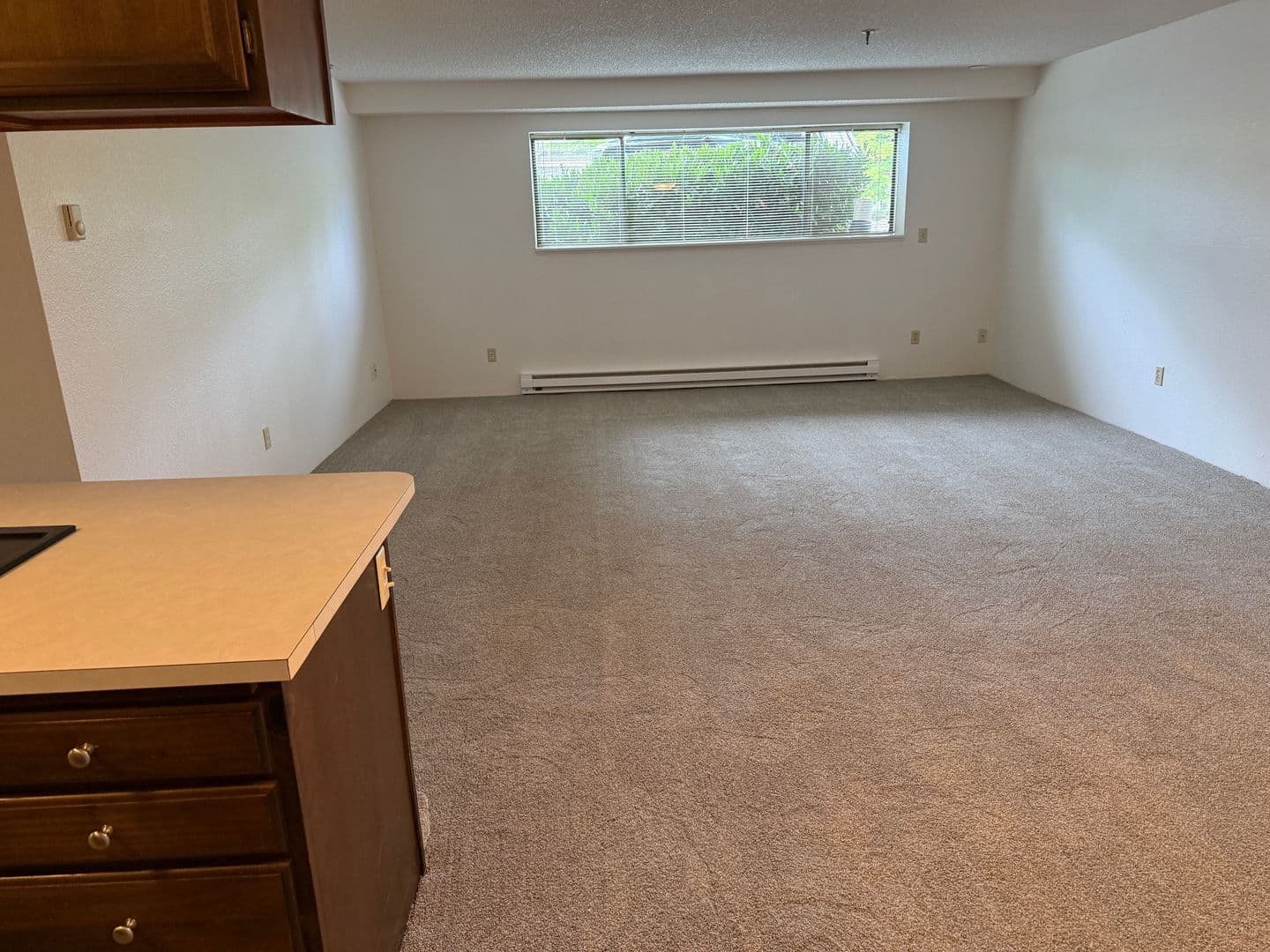 Corvallis Apartment: 124 NW 7th St
