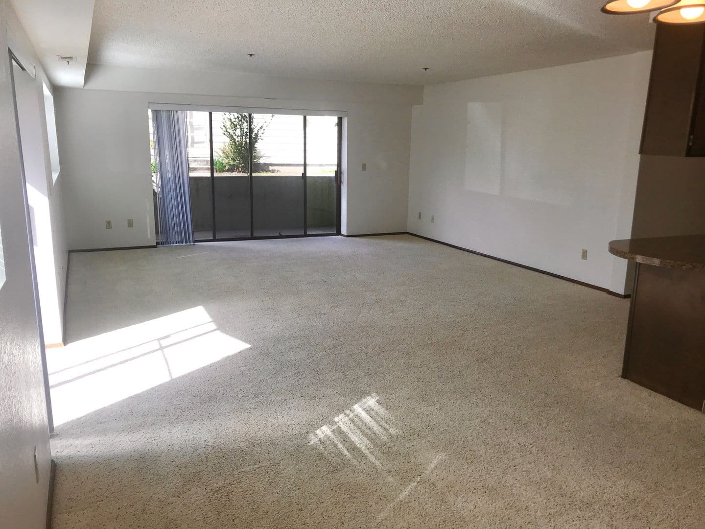 Corvallis Apartment: 124 NW 7th St