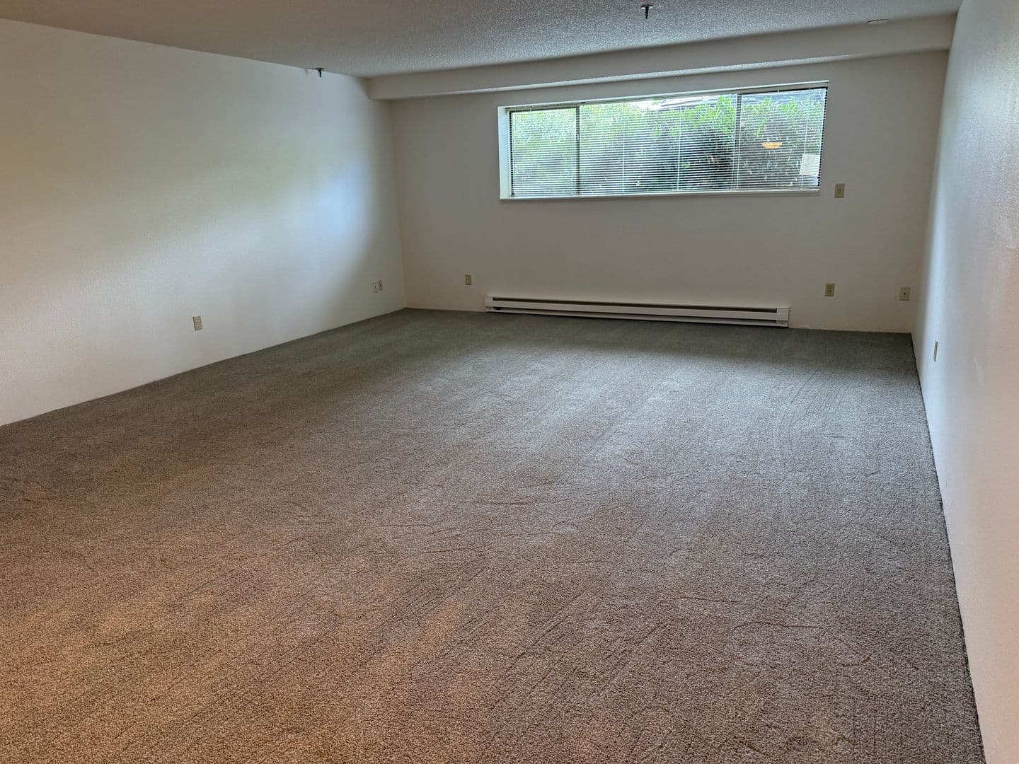 Corvallis Apartment: 124 NW 7th St