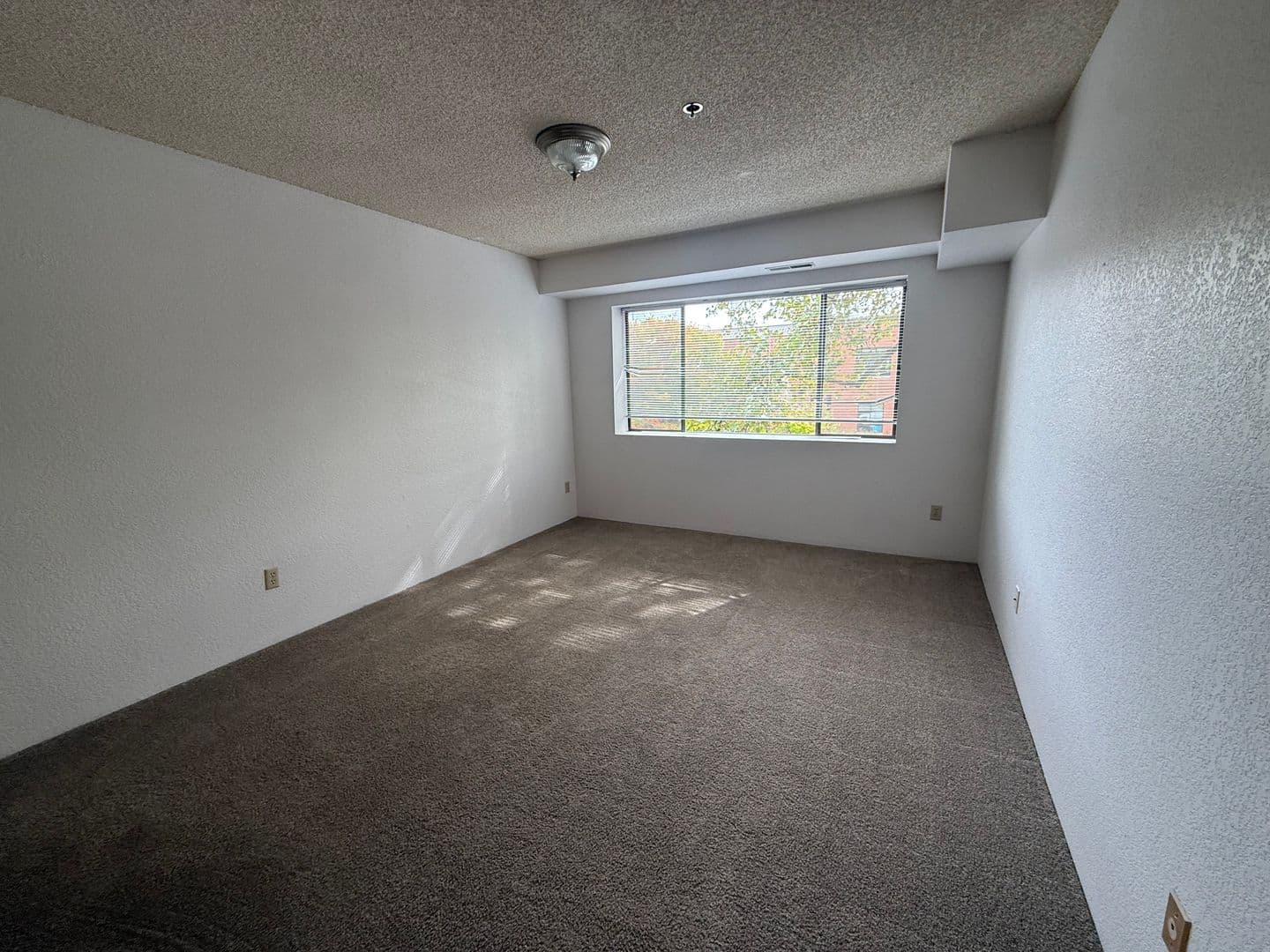 Corvallis Apartment: 124 NW 7th St