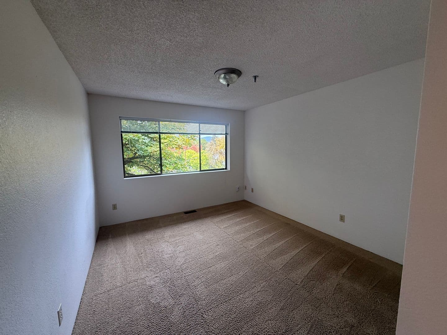 Corvallis Apartment: 124 NW 7th St