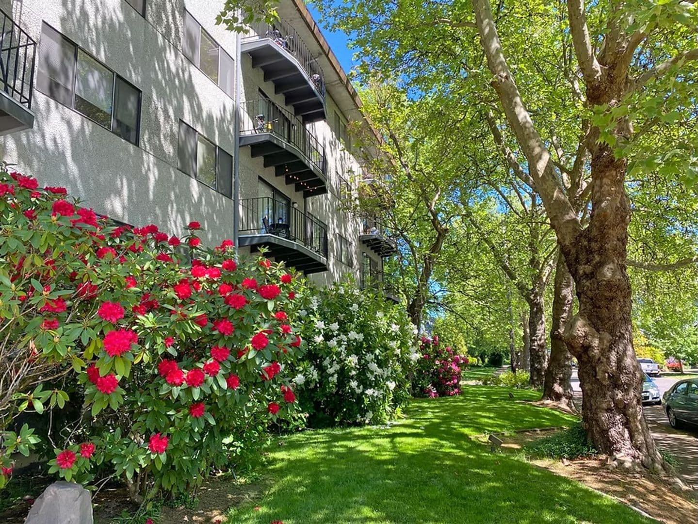 Corvallis Apartment: 124 NW 7th St