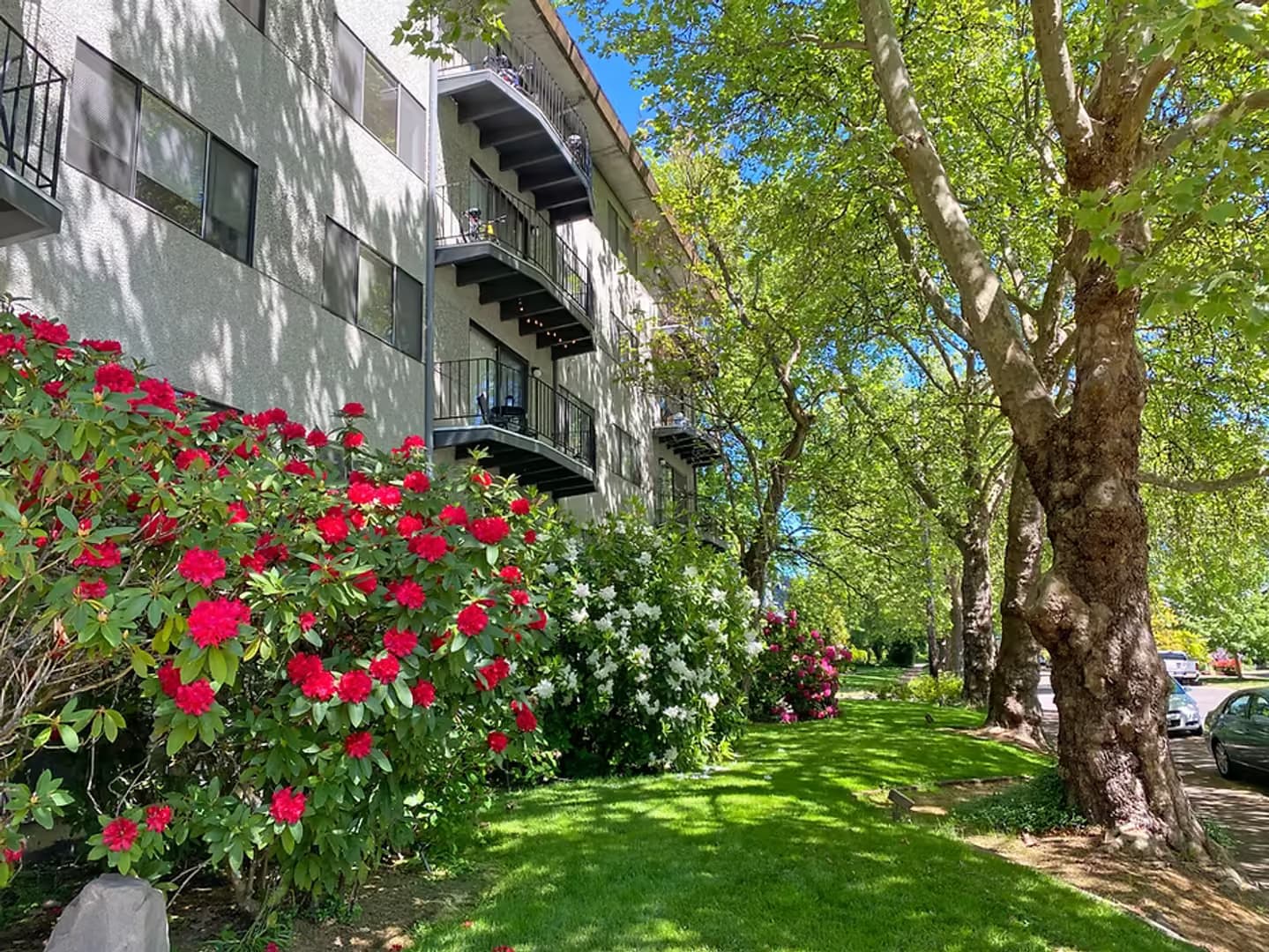 Corvallis Apartment: 124 NW 7th St