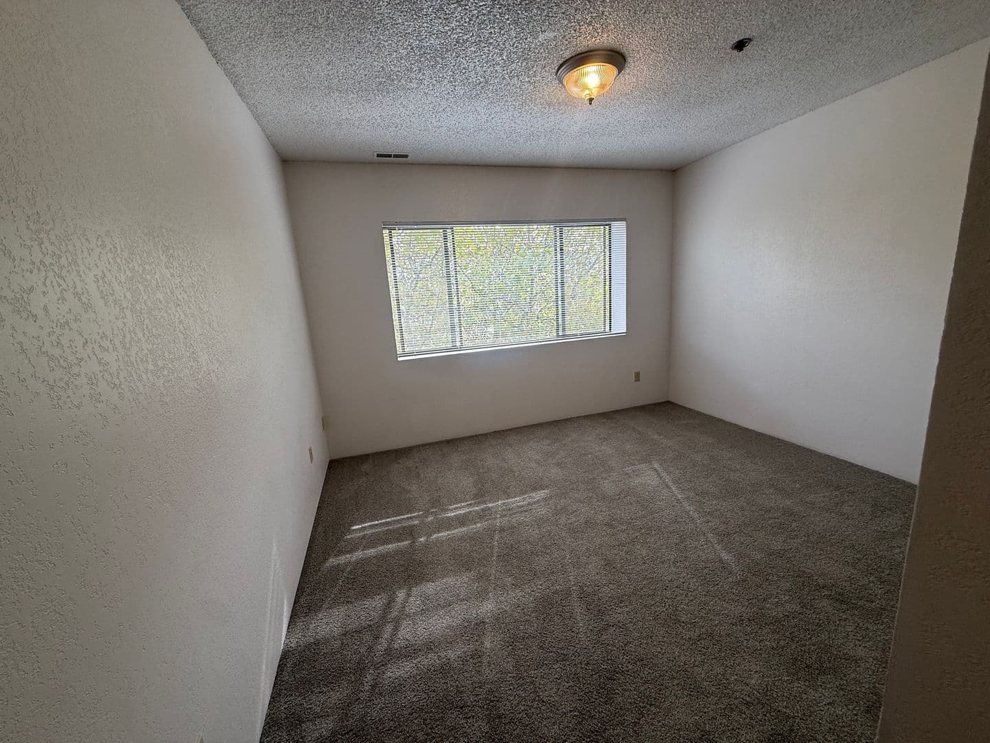 Corvallis Apartment: 124 NW 7th St