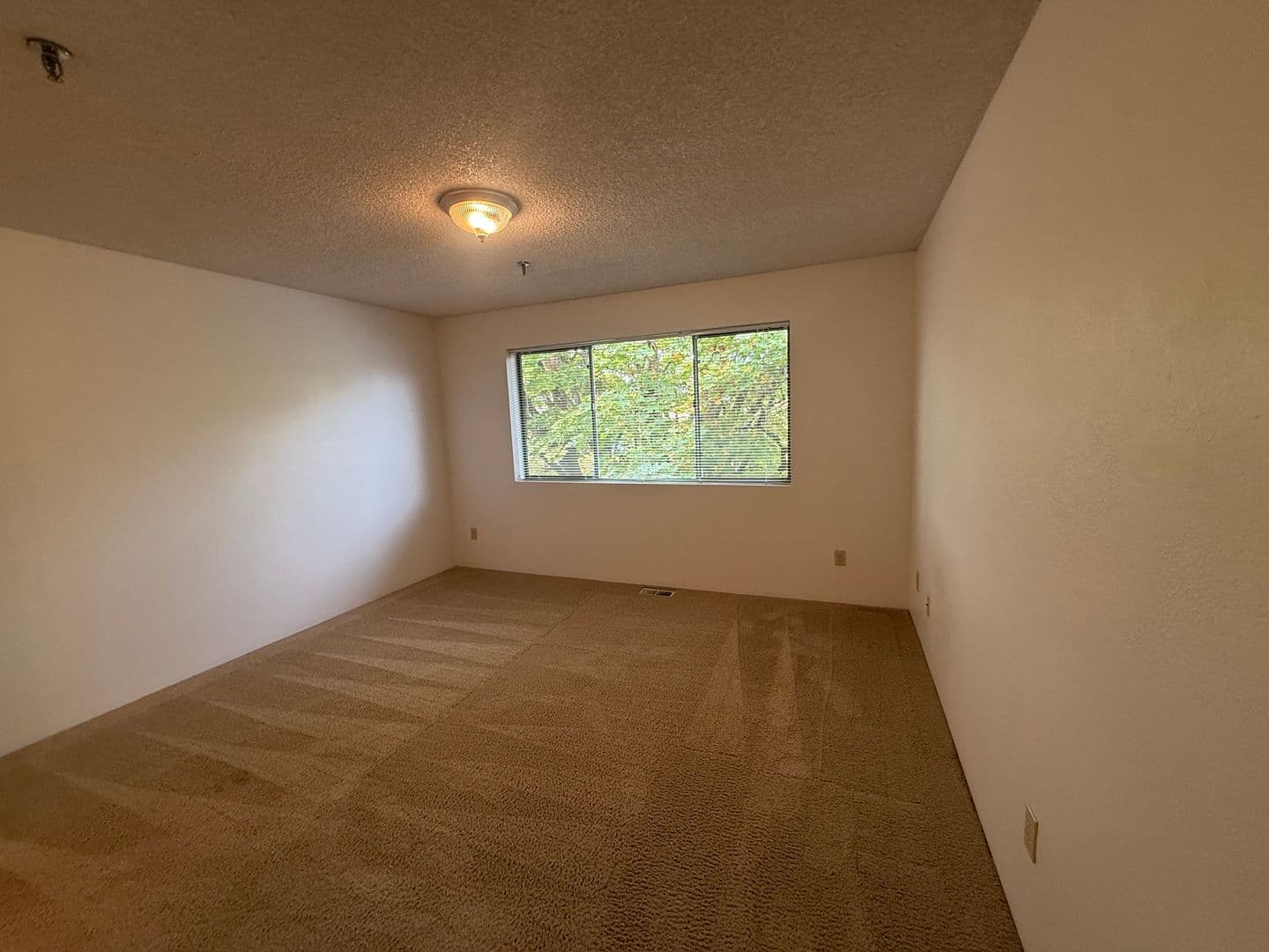 Corvallis Apartment: 124 NW 7th St