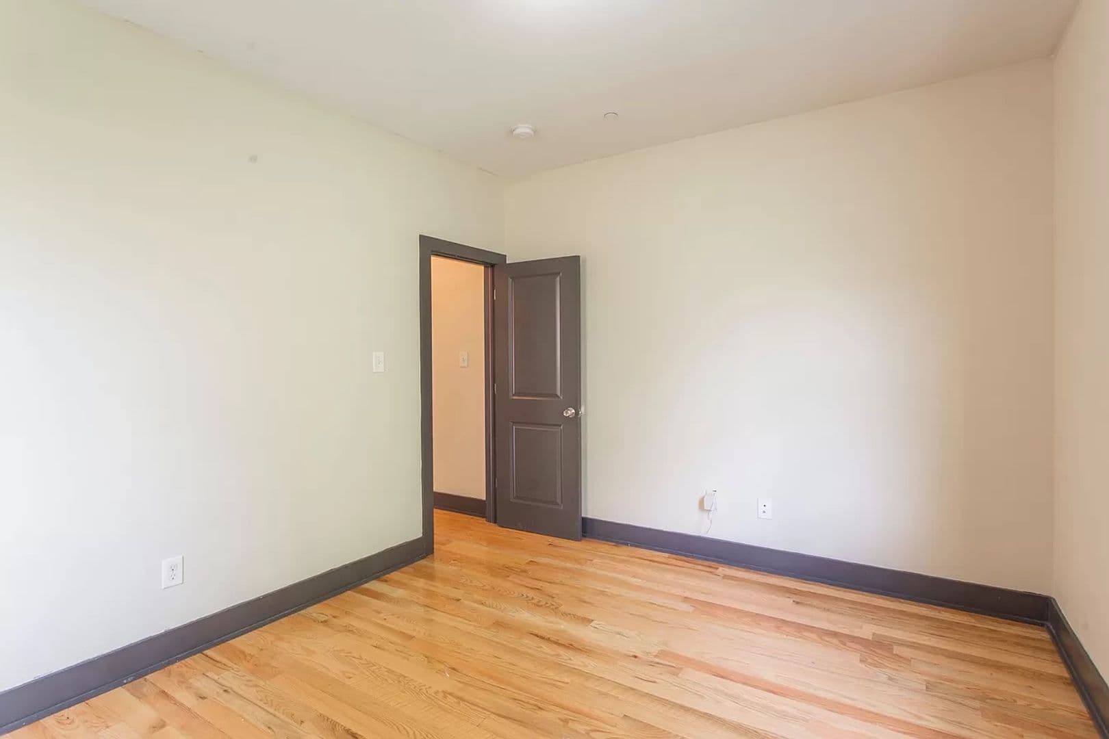Philadelphia Apartment: 1826 W Norris St