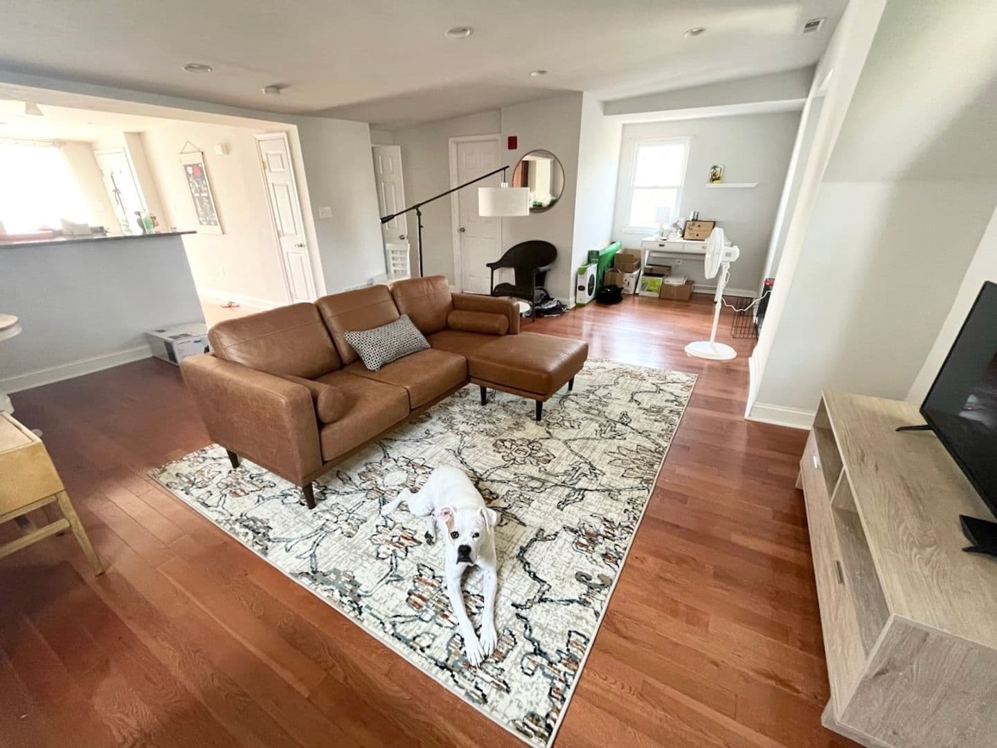 Philadelphia Apartment: 204 Sumac St