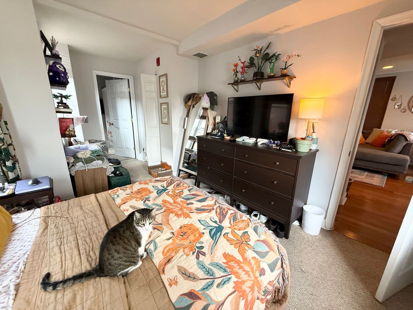 Philadelphia Apartment: 204 Sumac St