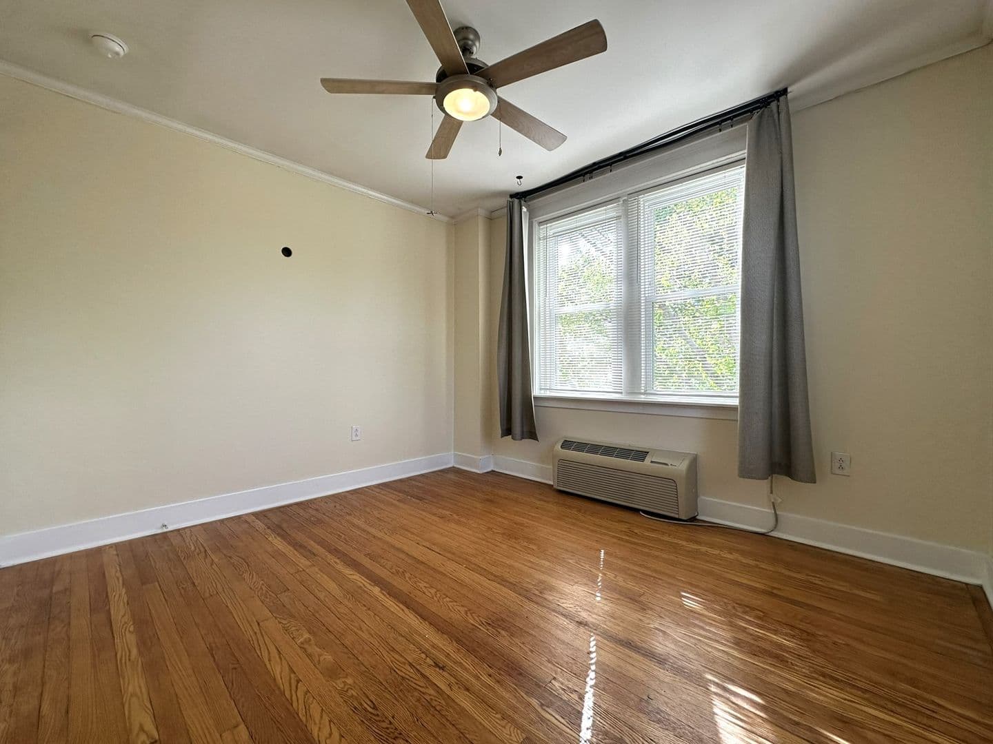 Philadelphia Apartment: 437 W School House Ln