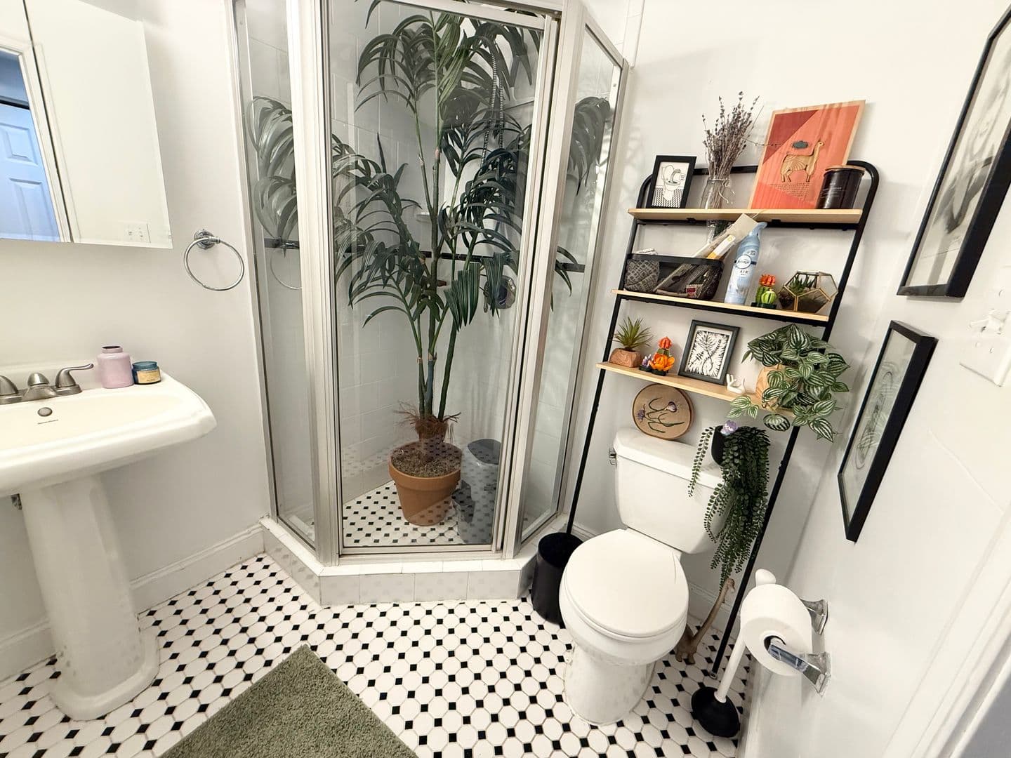 Philadelphia Apartment: 204 Sumac St