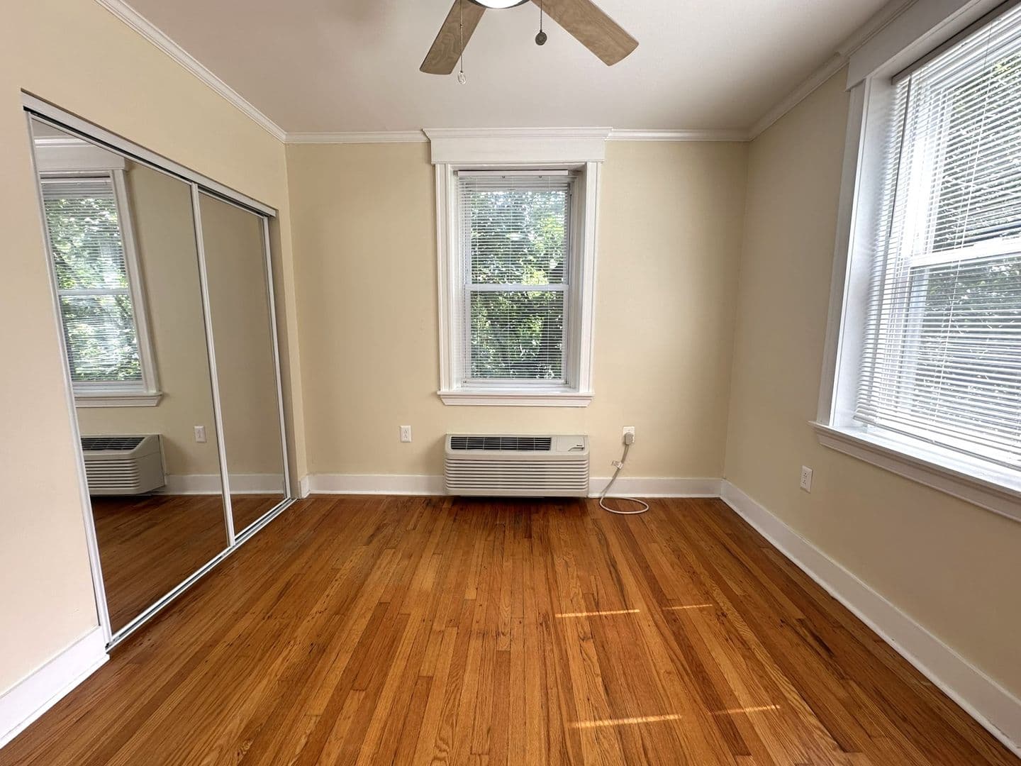 Philadelphia Apartment: 437 W School House Ln