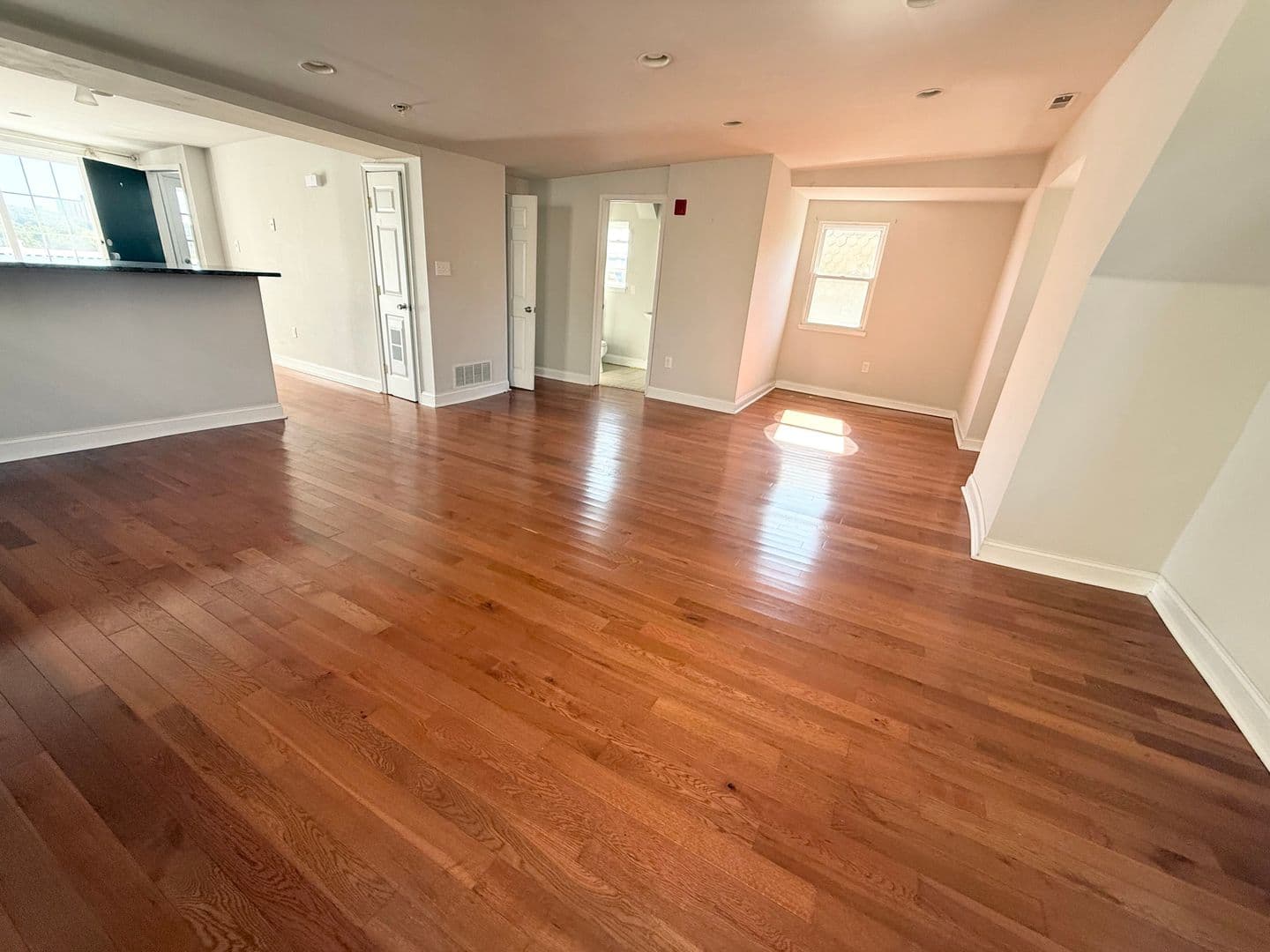 Philadelphia Apartment: 204 Sumac St