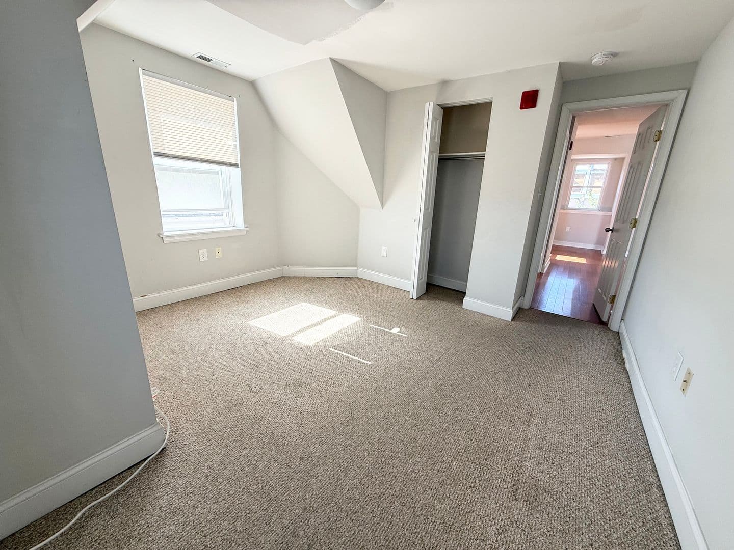 Philadelphia Apartment: 204 Sumac St