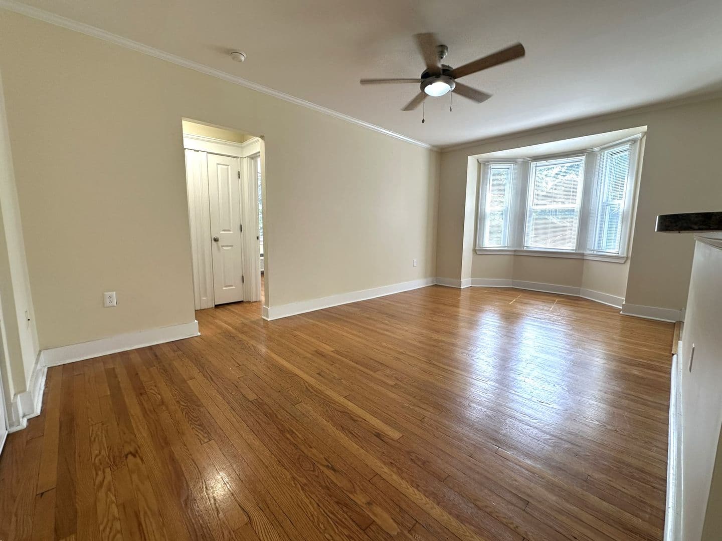 Philadelphia Apartment: 437 W School House Ln