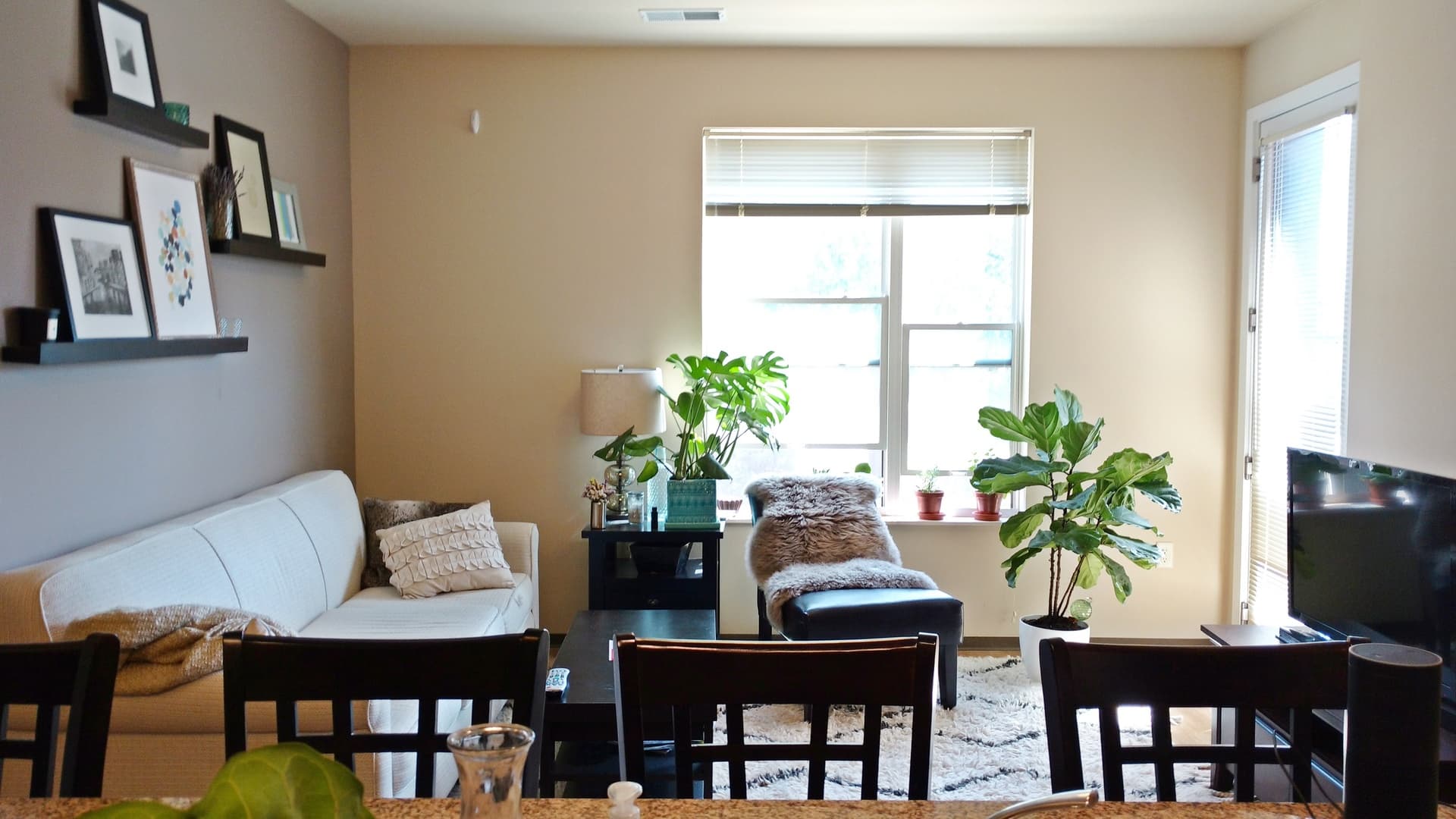 Madison Apartment: 210-212 N. Bassett St.