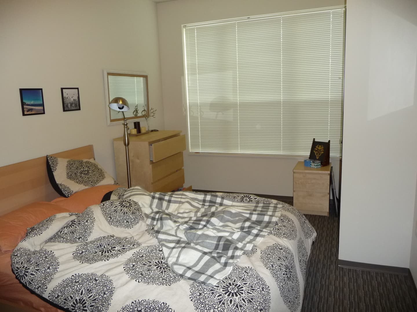 Madison Apartment: 210-212 N. Bassett St.