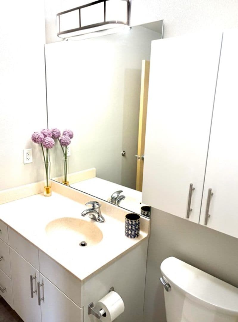 Madison Apartment: 313 N Frances St.