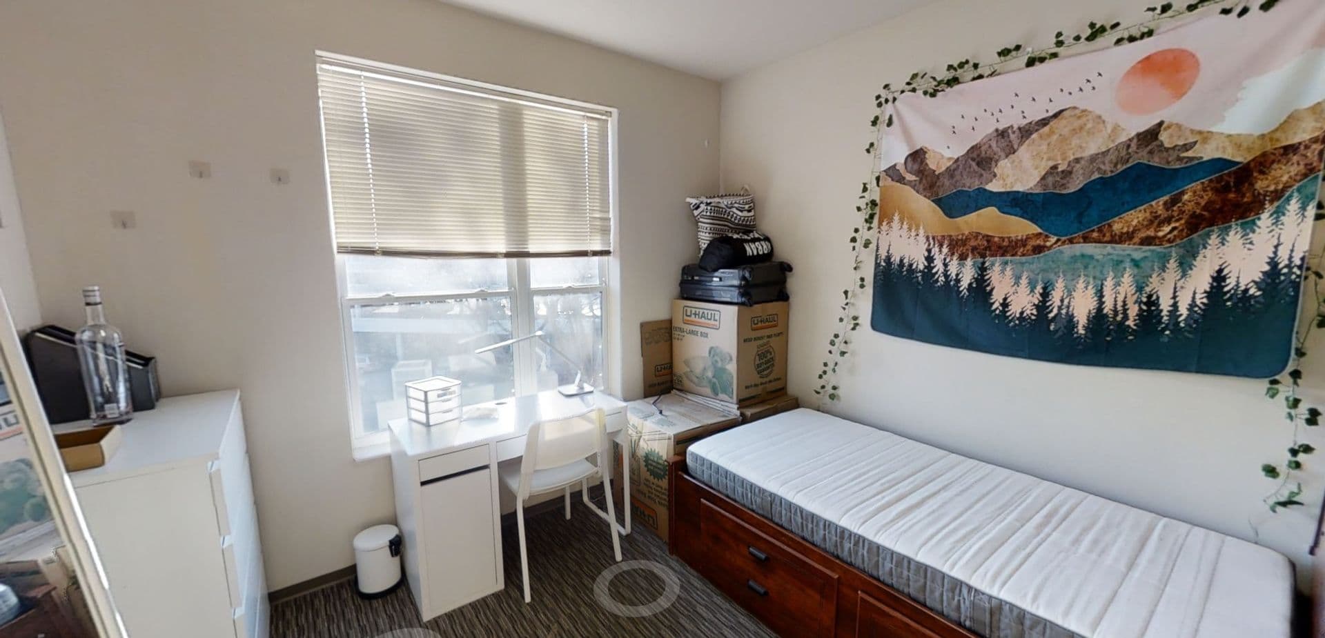 Madison Apartment: 210-212 N. Bassett St.