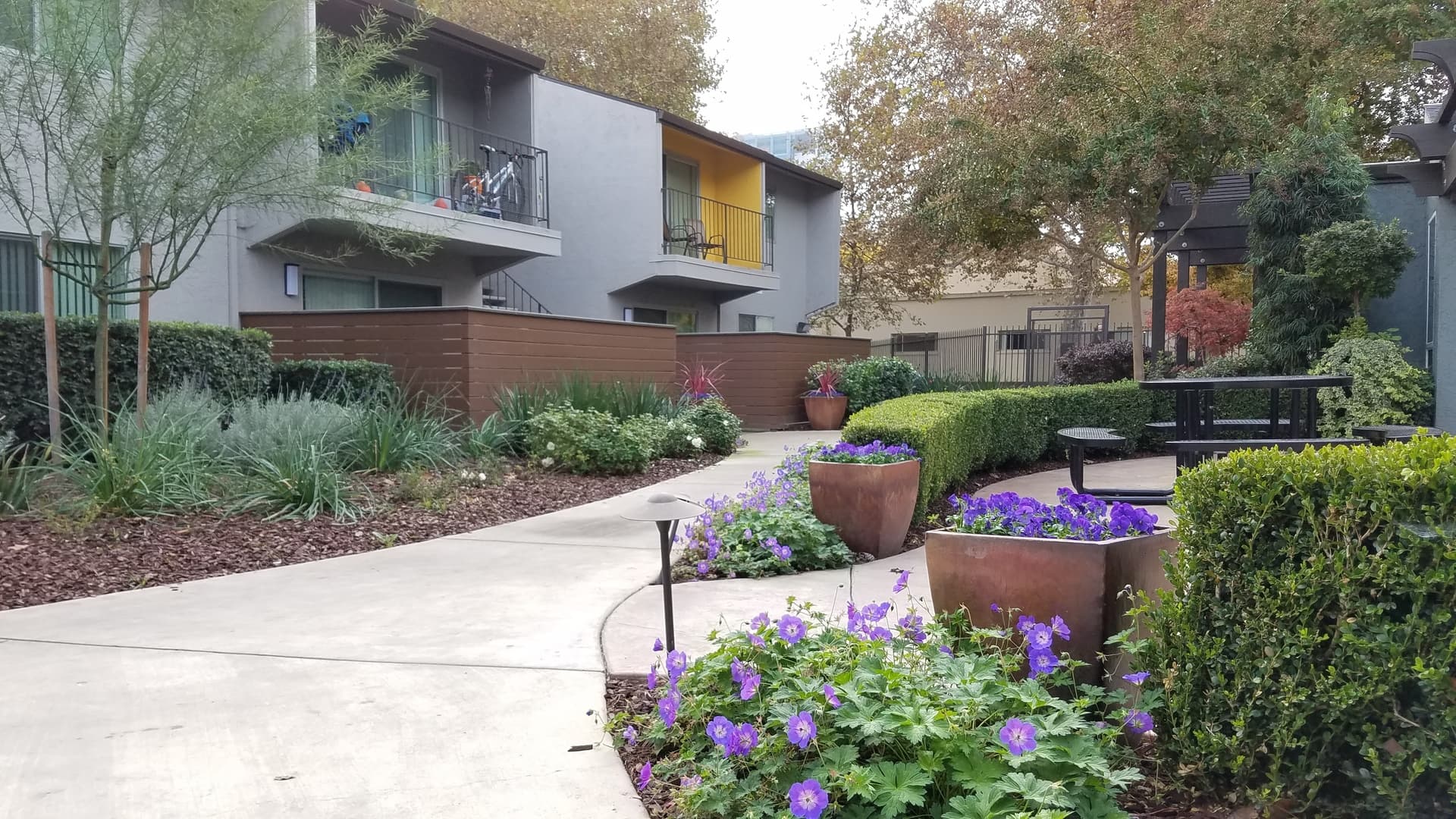 Sacramento Apartment: 815 E Street