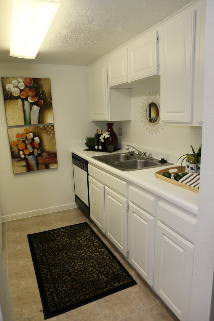 Houston Apartment: Boca Springs Apartments