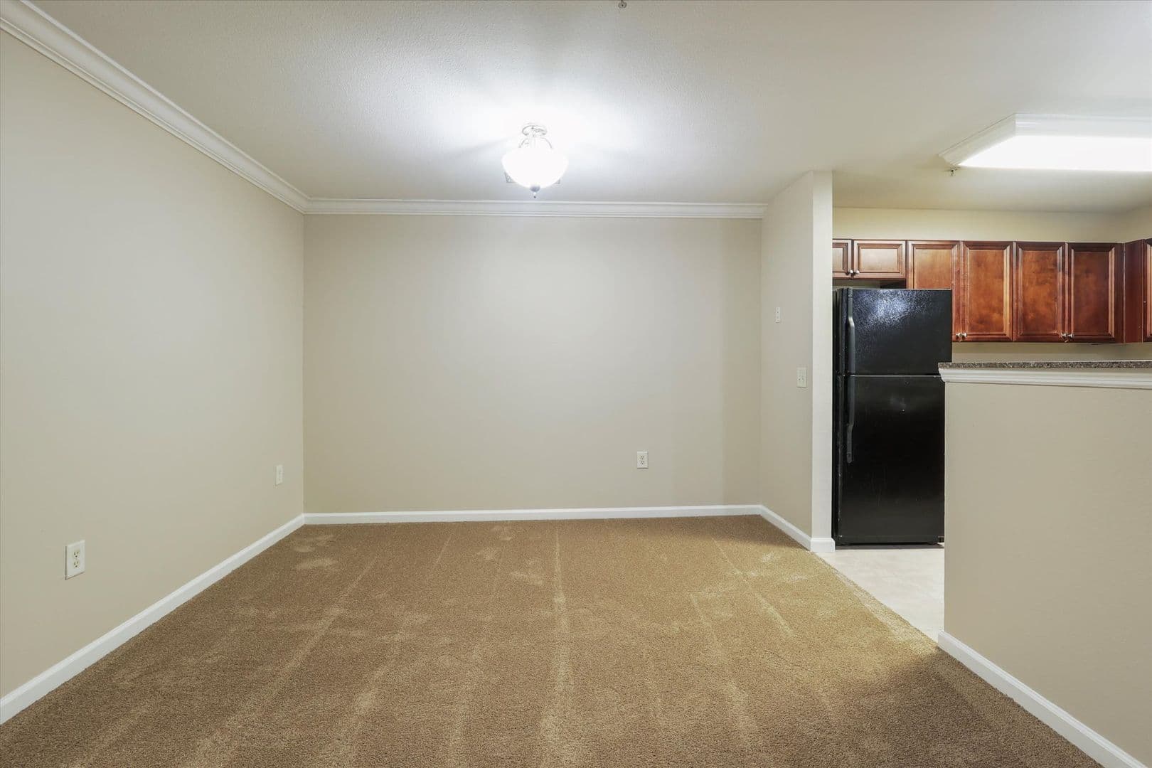 Gainesville Apartment: 505 SW 72nd Way