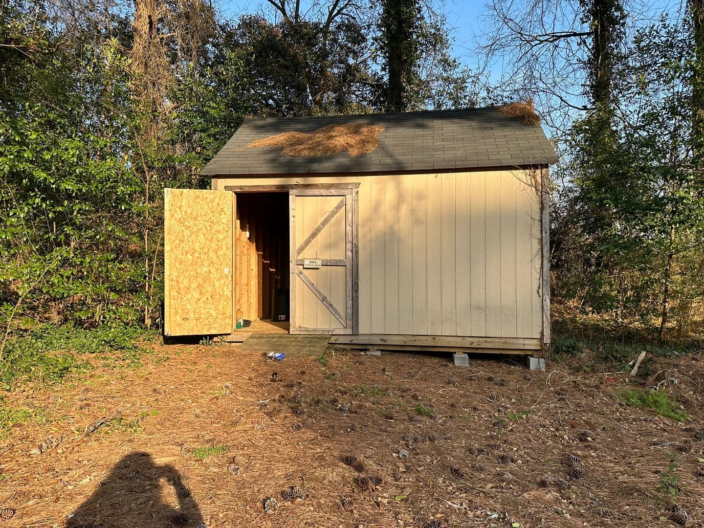 Forest Park House: 4522 Ridge Drive